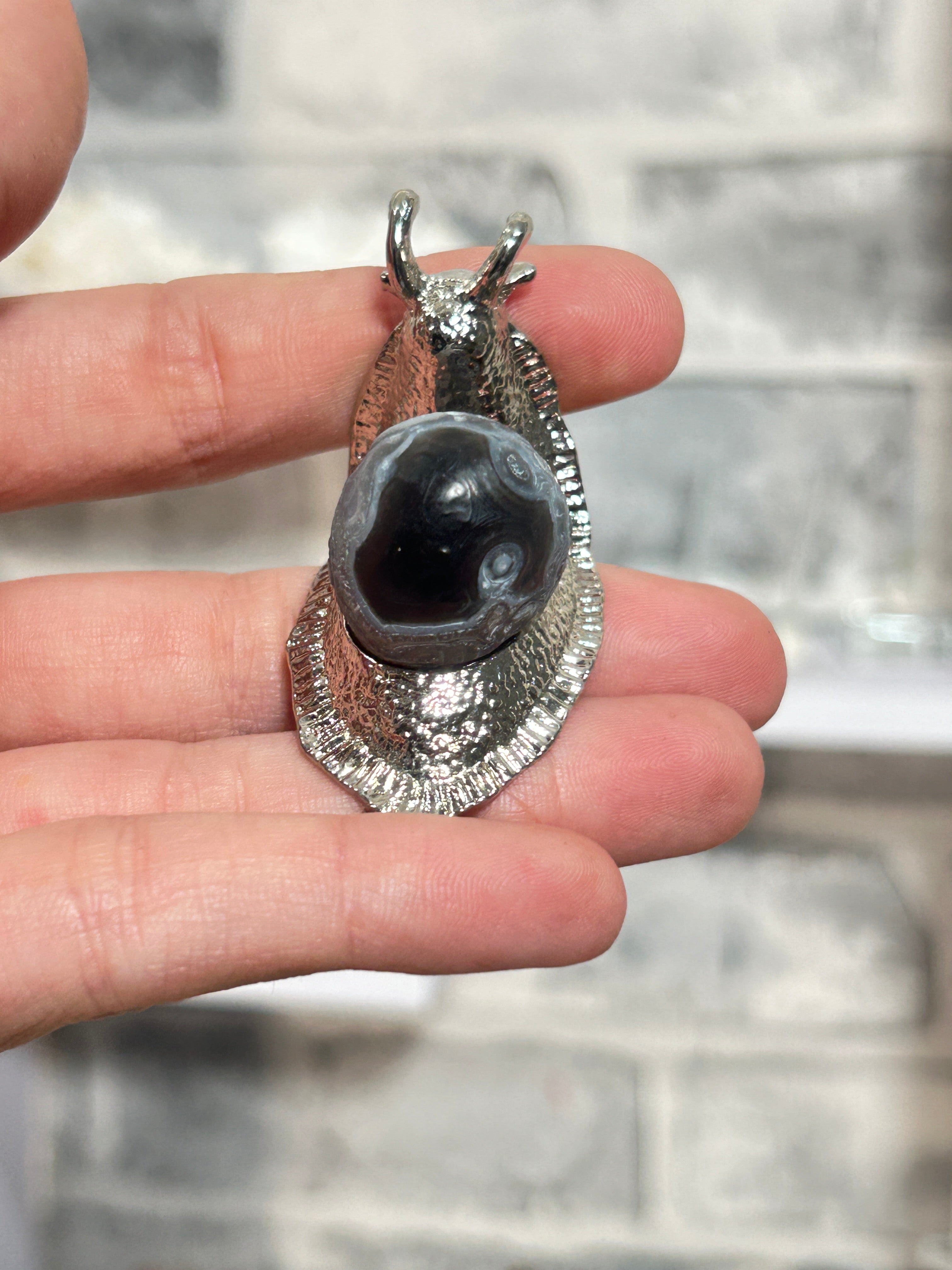 Gobi agate snail 8
