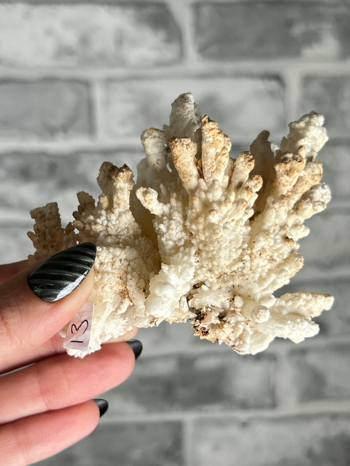 white Aragonite