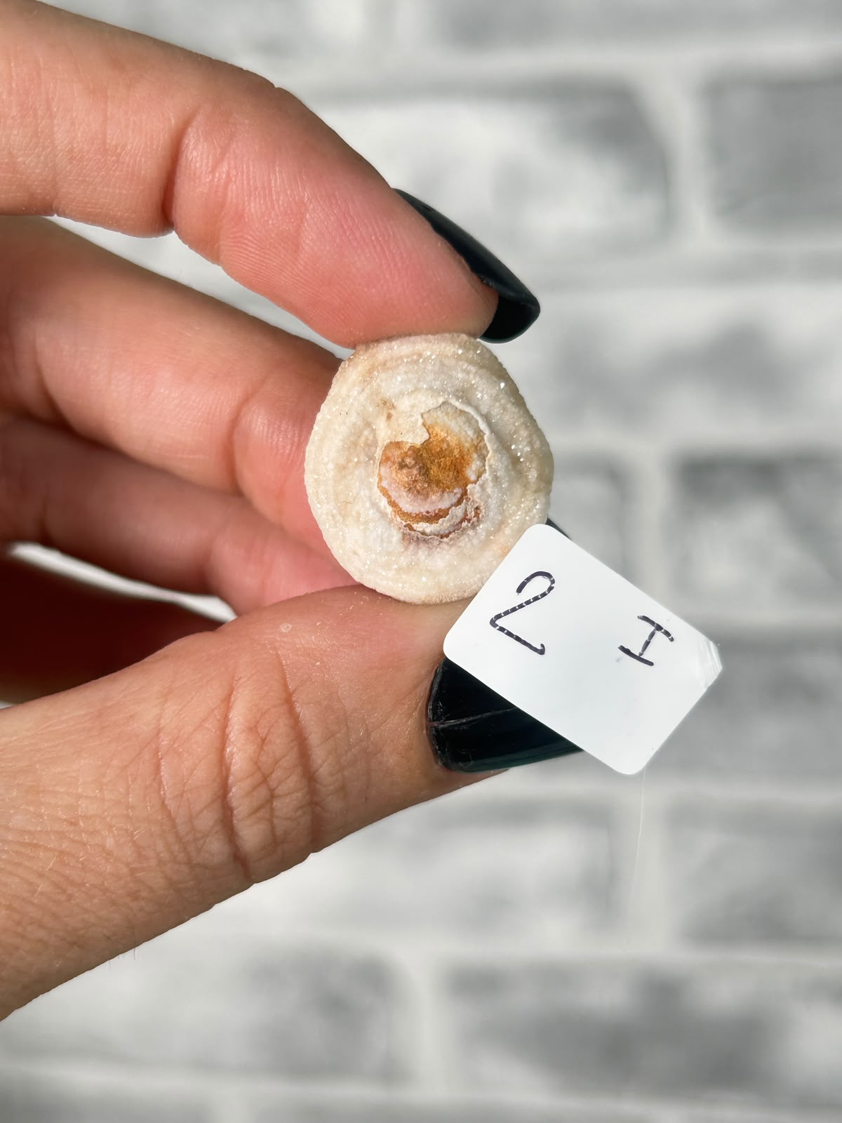 Chalcedony Agate Rosette #9