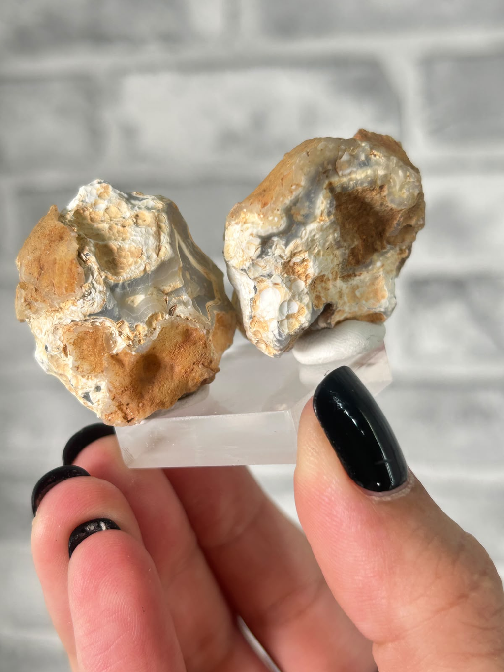 Blue Banded Agate Nodule Pair #4