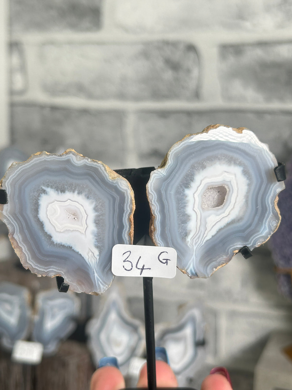 Blue banded agate nodule pair G from Indonesia on custom black stand with icy blue-grey chalcedony banding and sparkling druzy quartz centres.