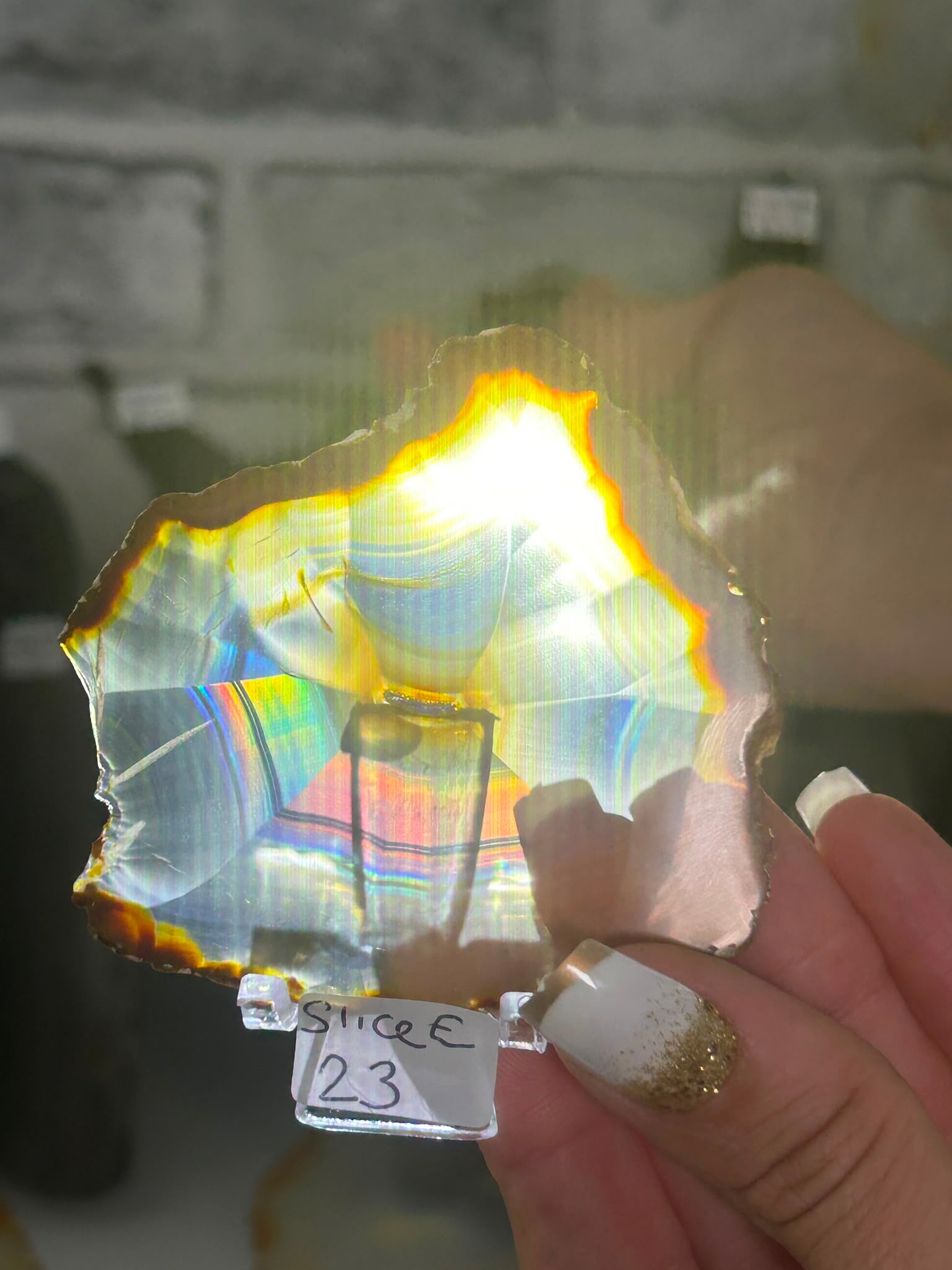 Iris Agate Slice E