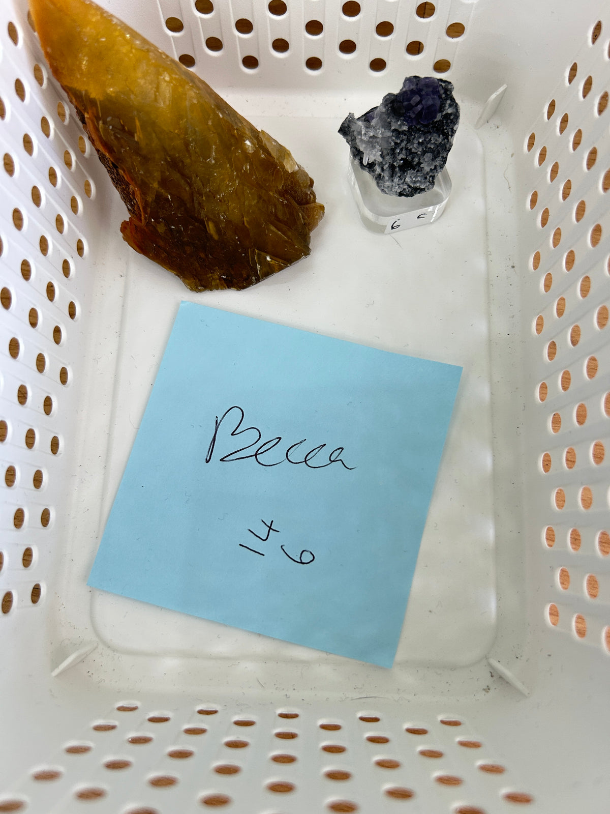 Live Sale Basket - Becca
