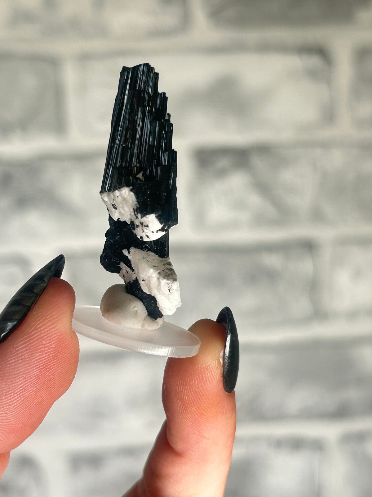 Tourmaline on Feldspar, Pakistan