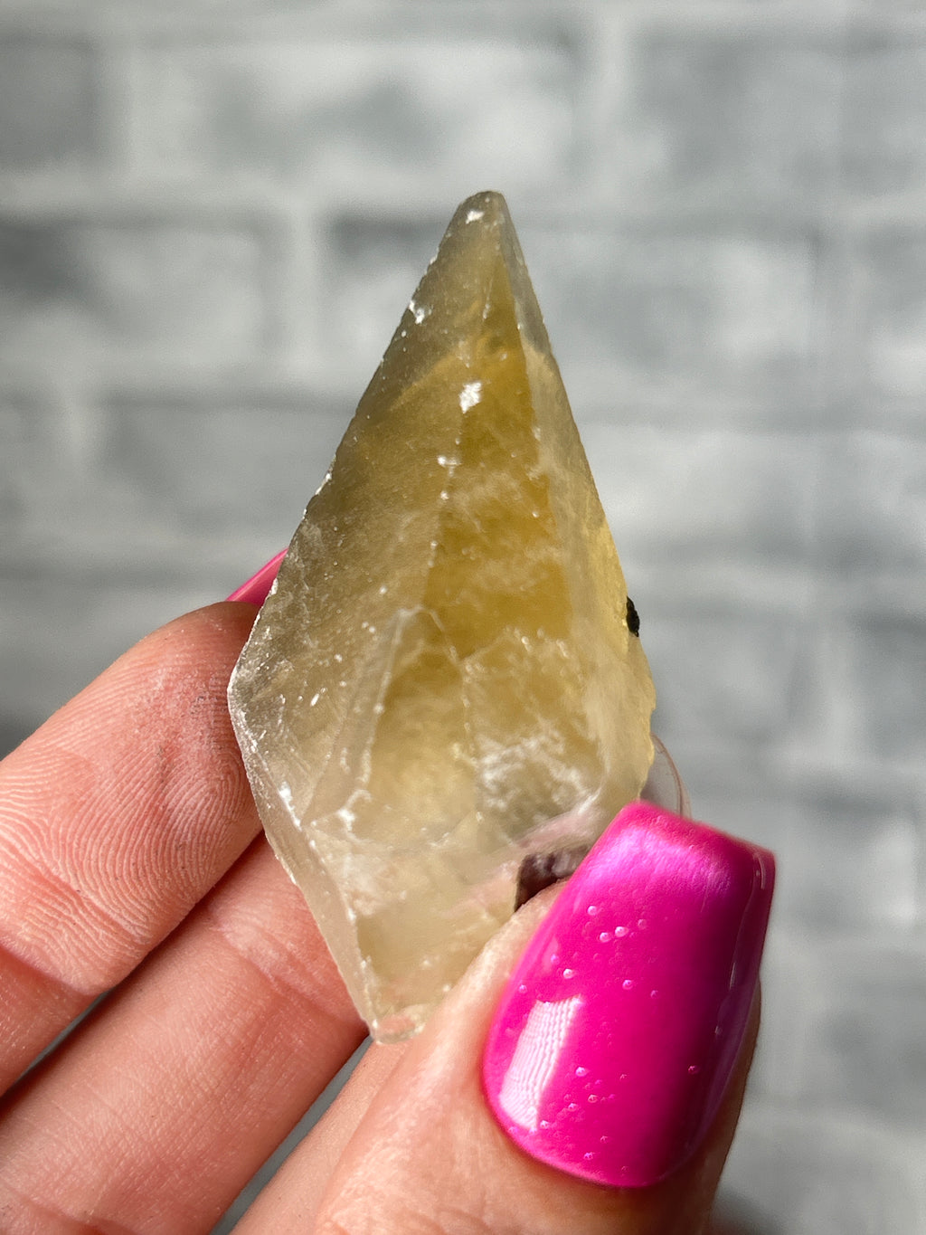 calcite tooth