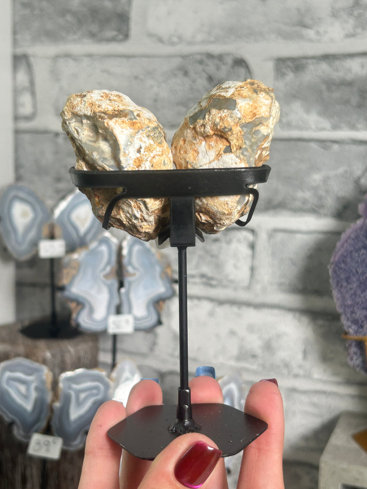 Blue Grey Banded Agate Nodule Pair on Custom Stand C