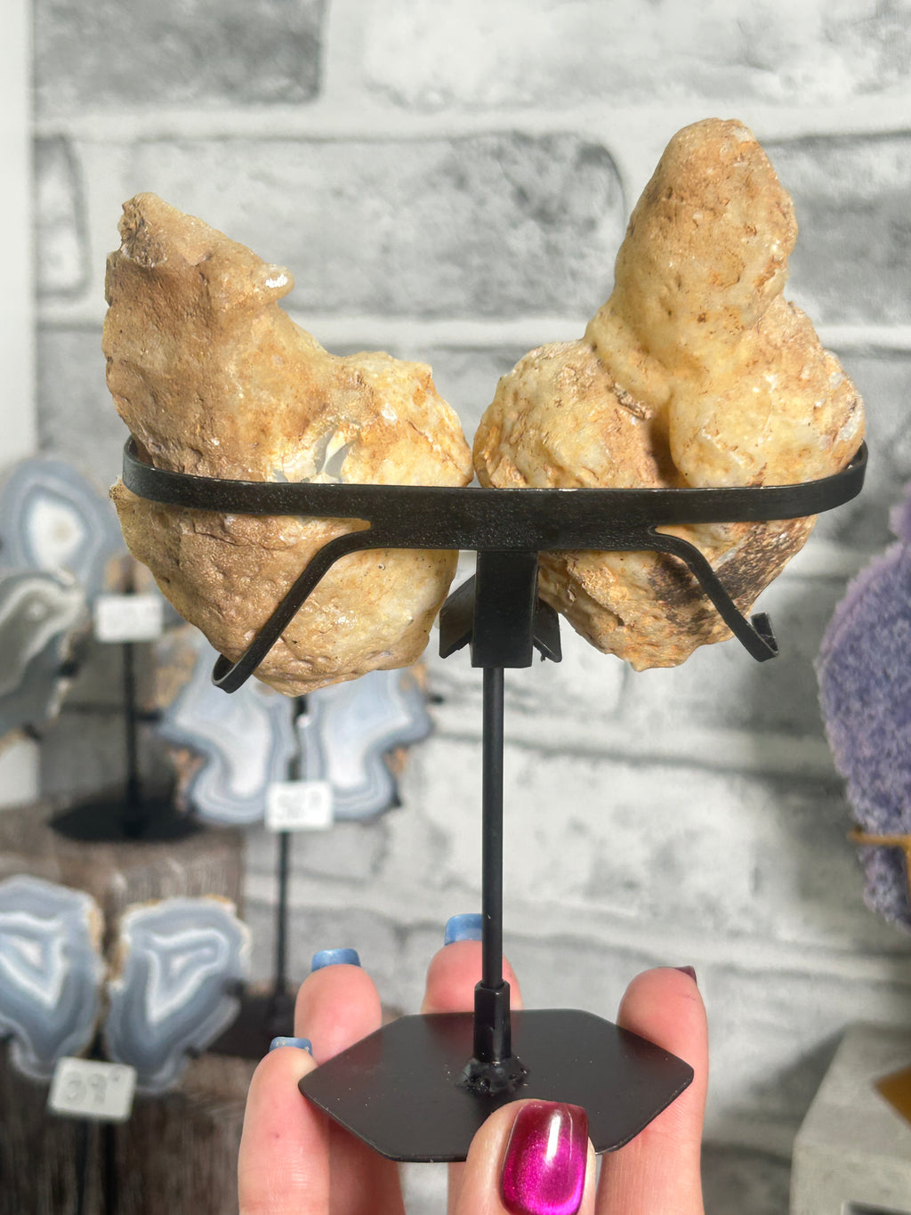 Blue Banded Agate Nodule Pair on Custom Stand E