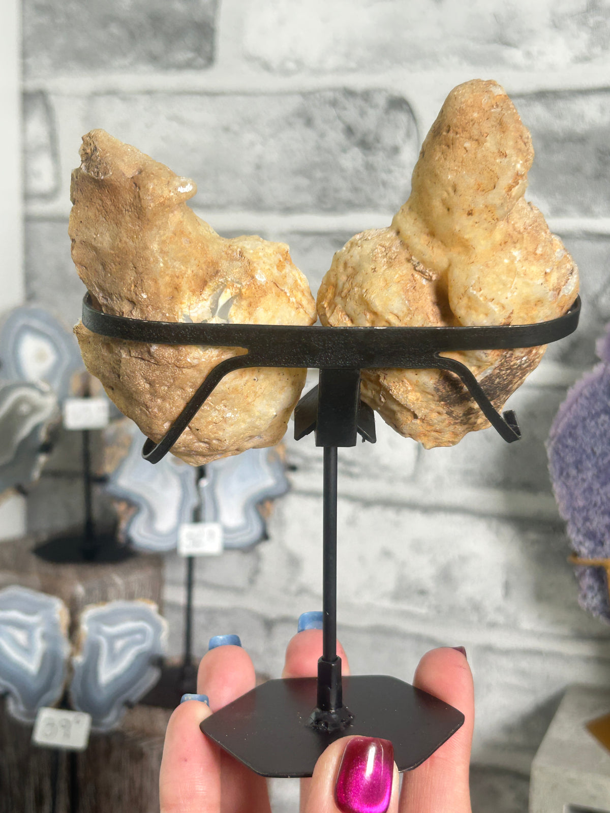 Blue Banded Agate Nodule Pair on Custom Stand E
