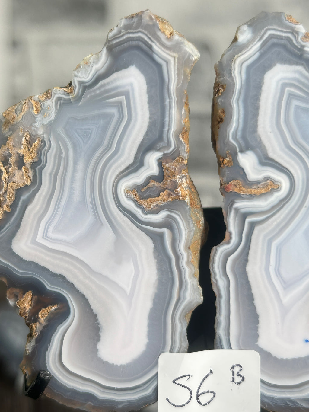 Blue Banded Agate Nodule Pair on Custom Stand B