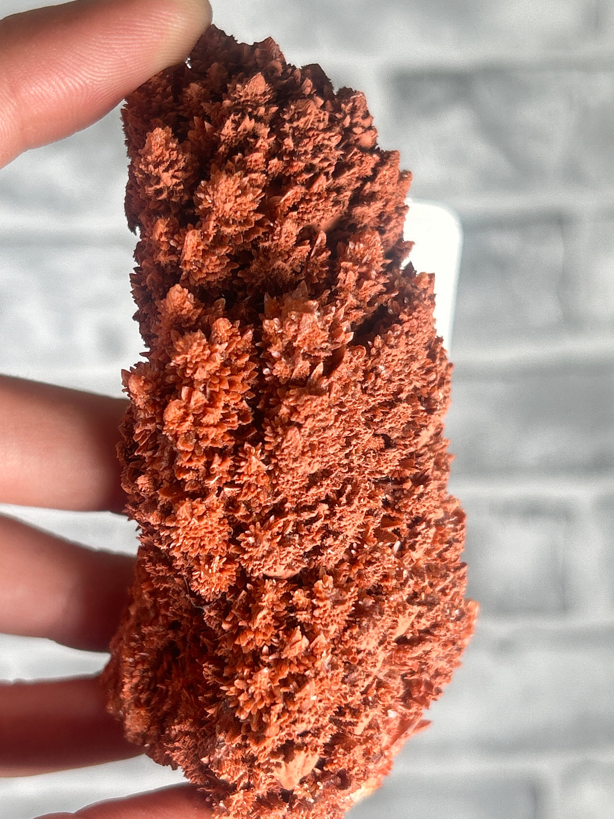 Hematite coated Calcite From China