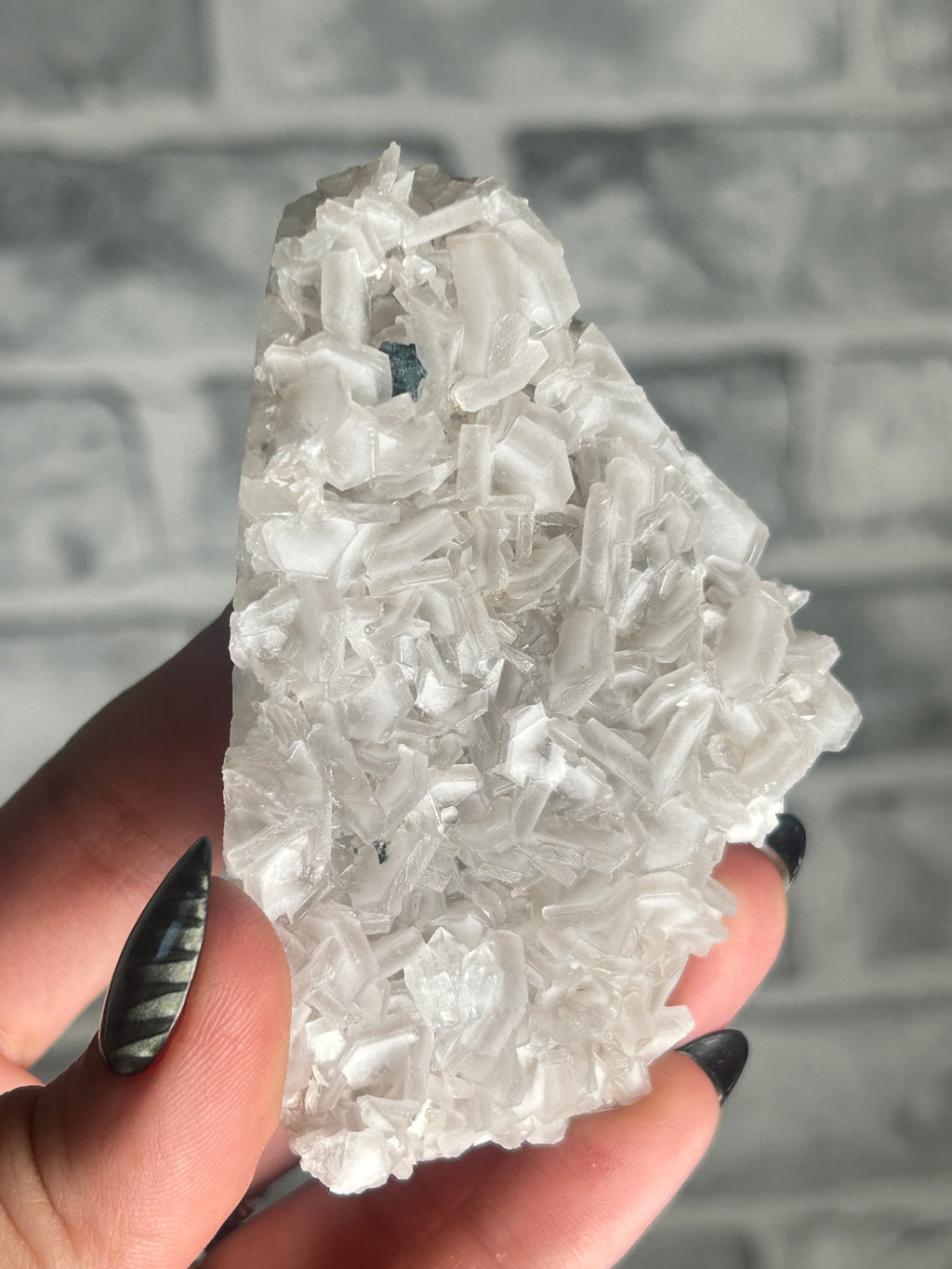 Coin Calcite Cluster from Fujian China