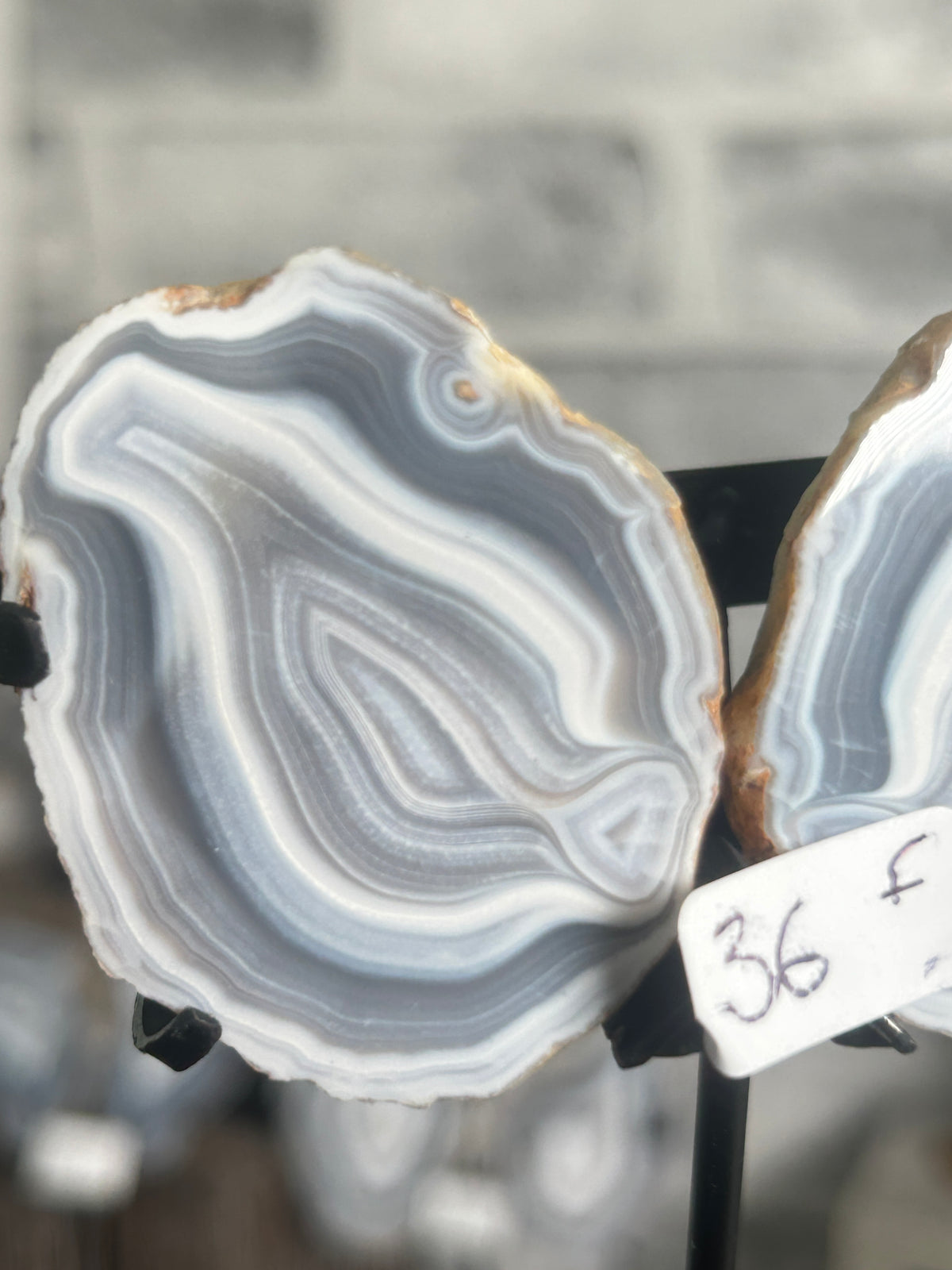 Blue Banded Agate Nodule Pair on Custom Stand F