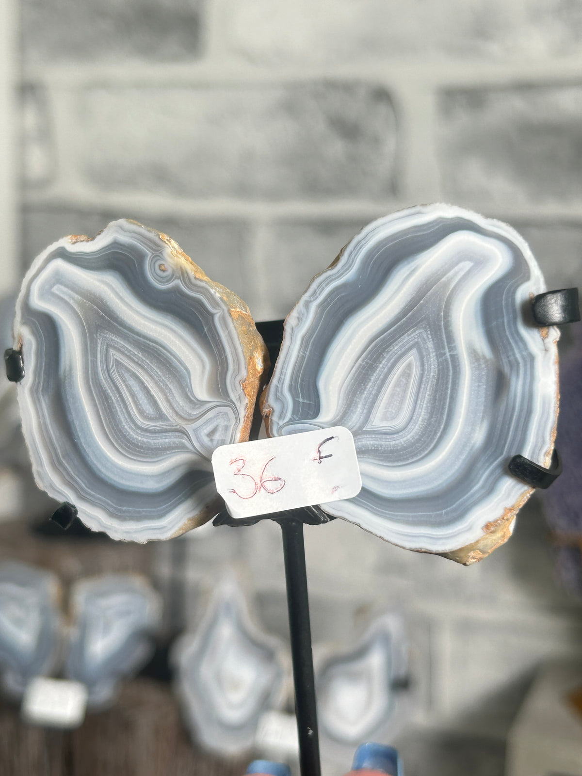 Blue banded agate nodule pair F from Indonesia on custom black stand with fine blue-grey and white chalcedony banding and mirrored centres.