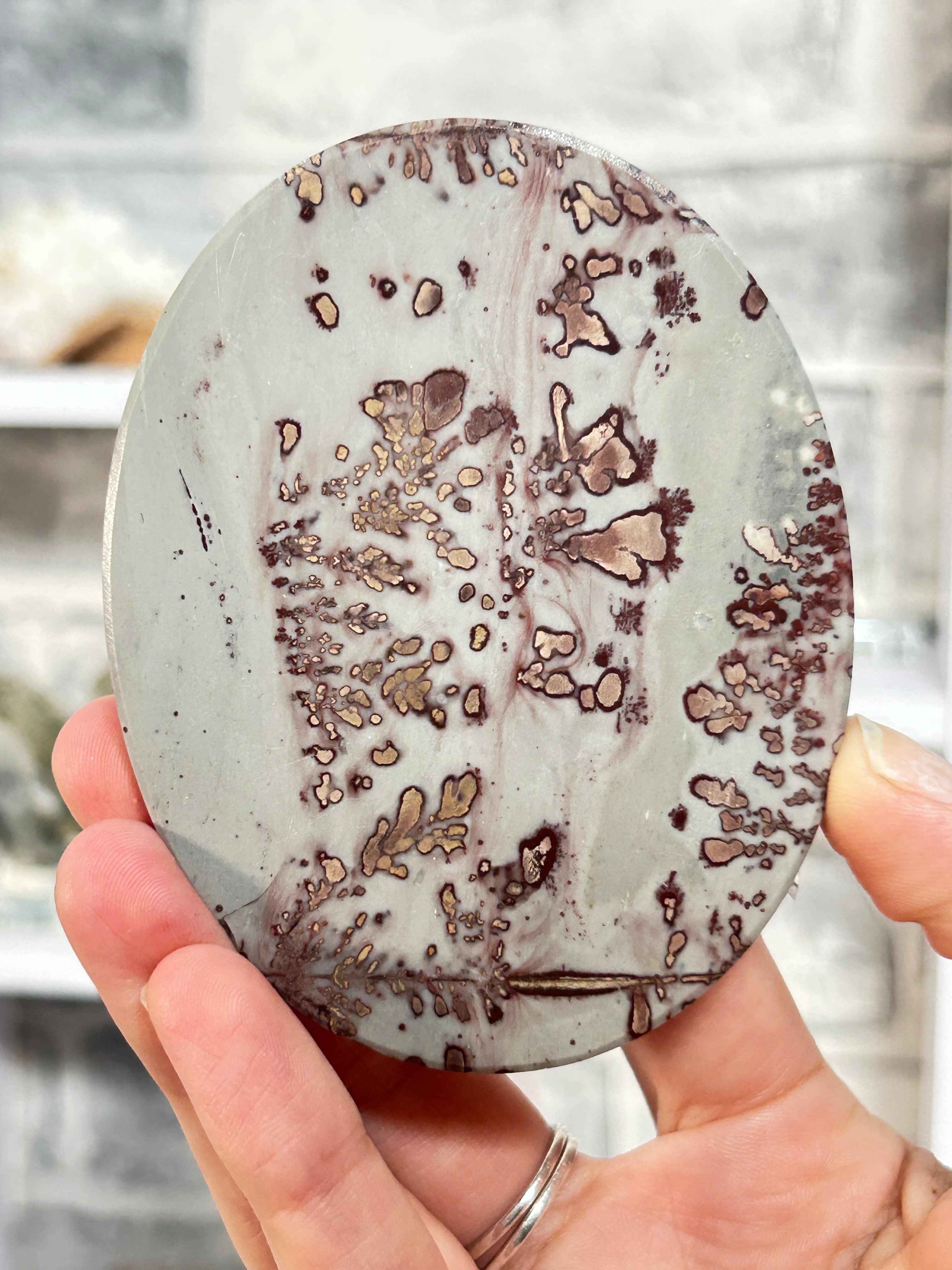 Picture Jasper Slice