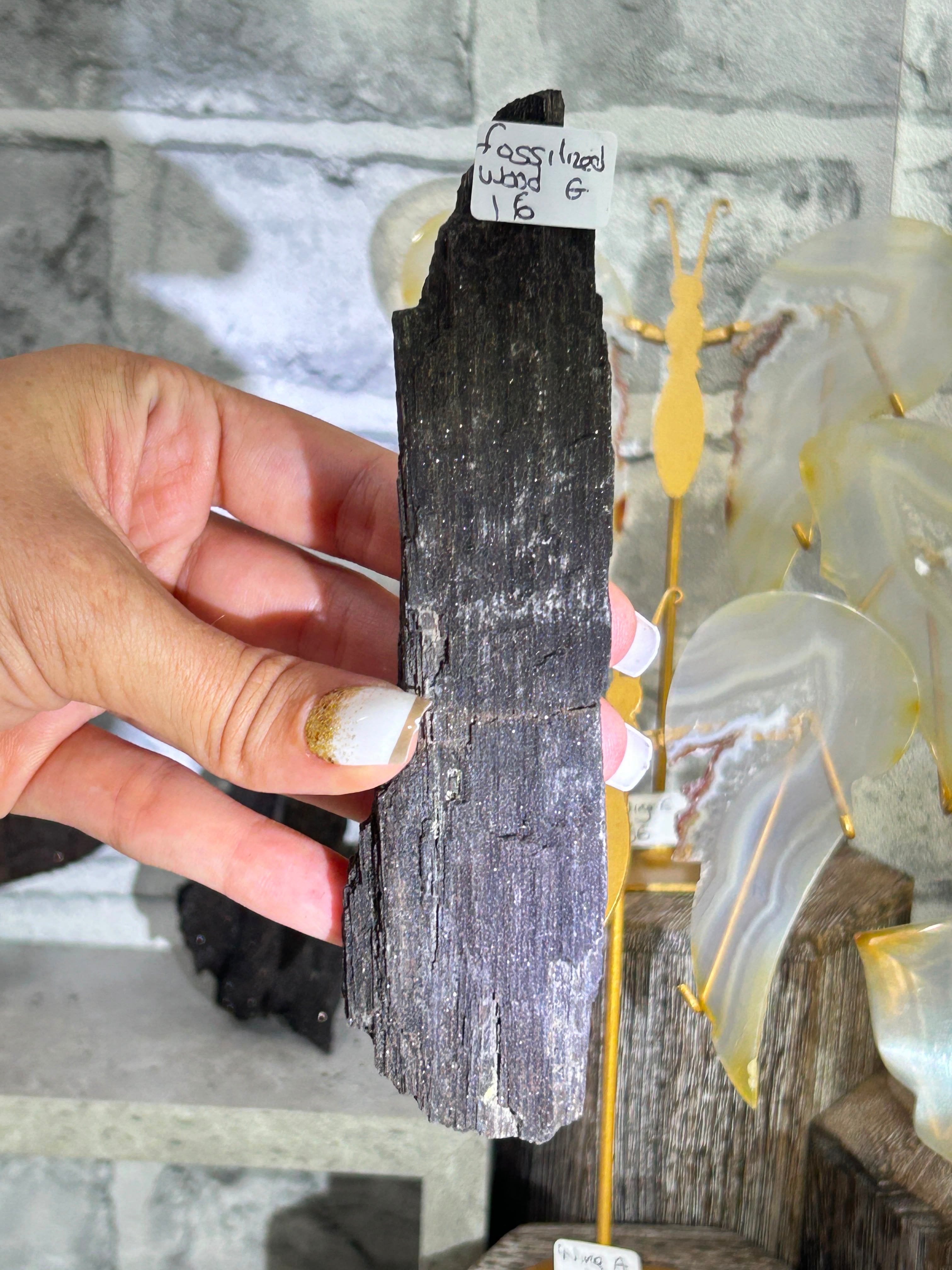 Fossilised Wood G
