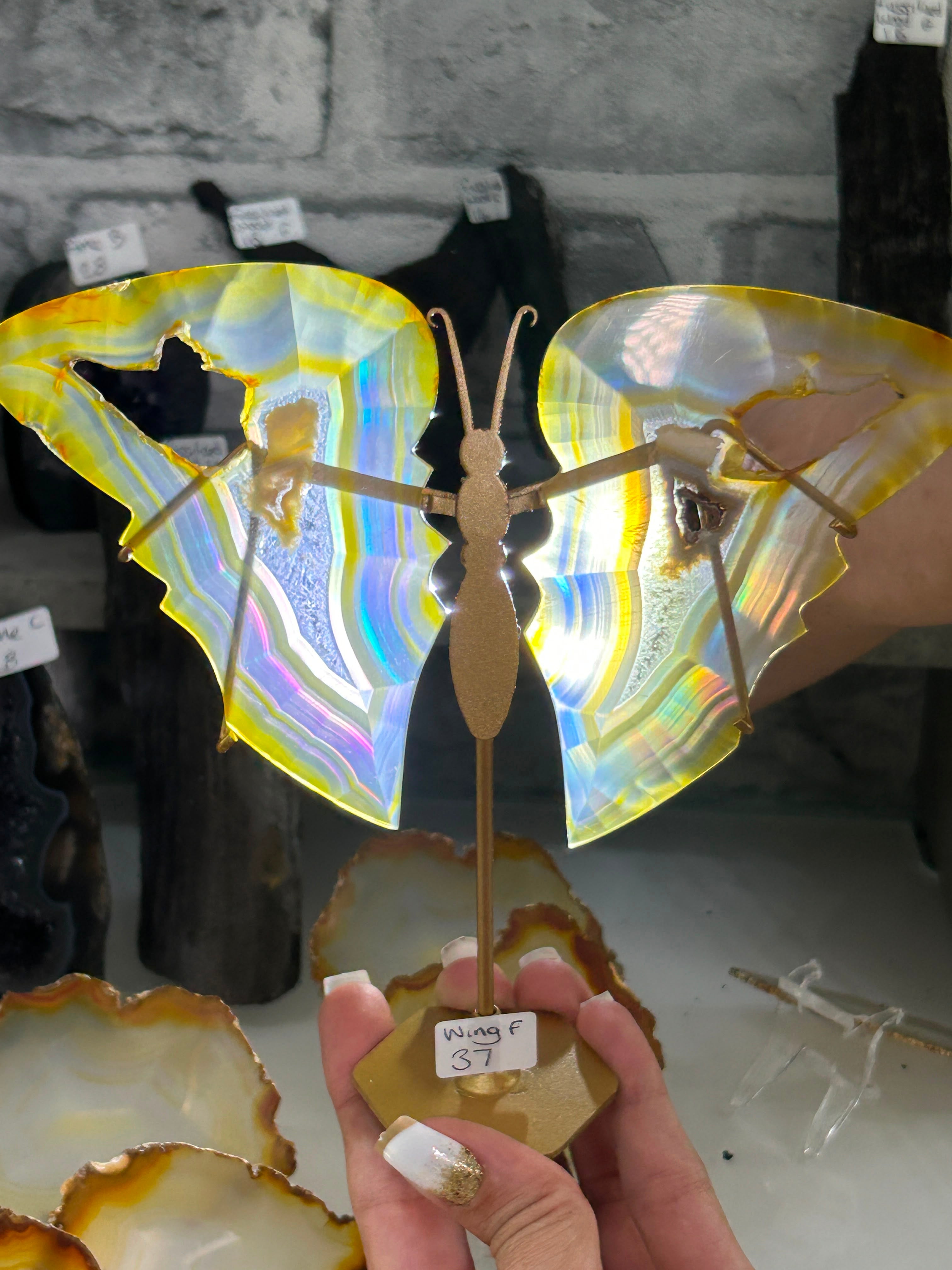 Iris Agate Wings F