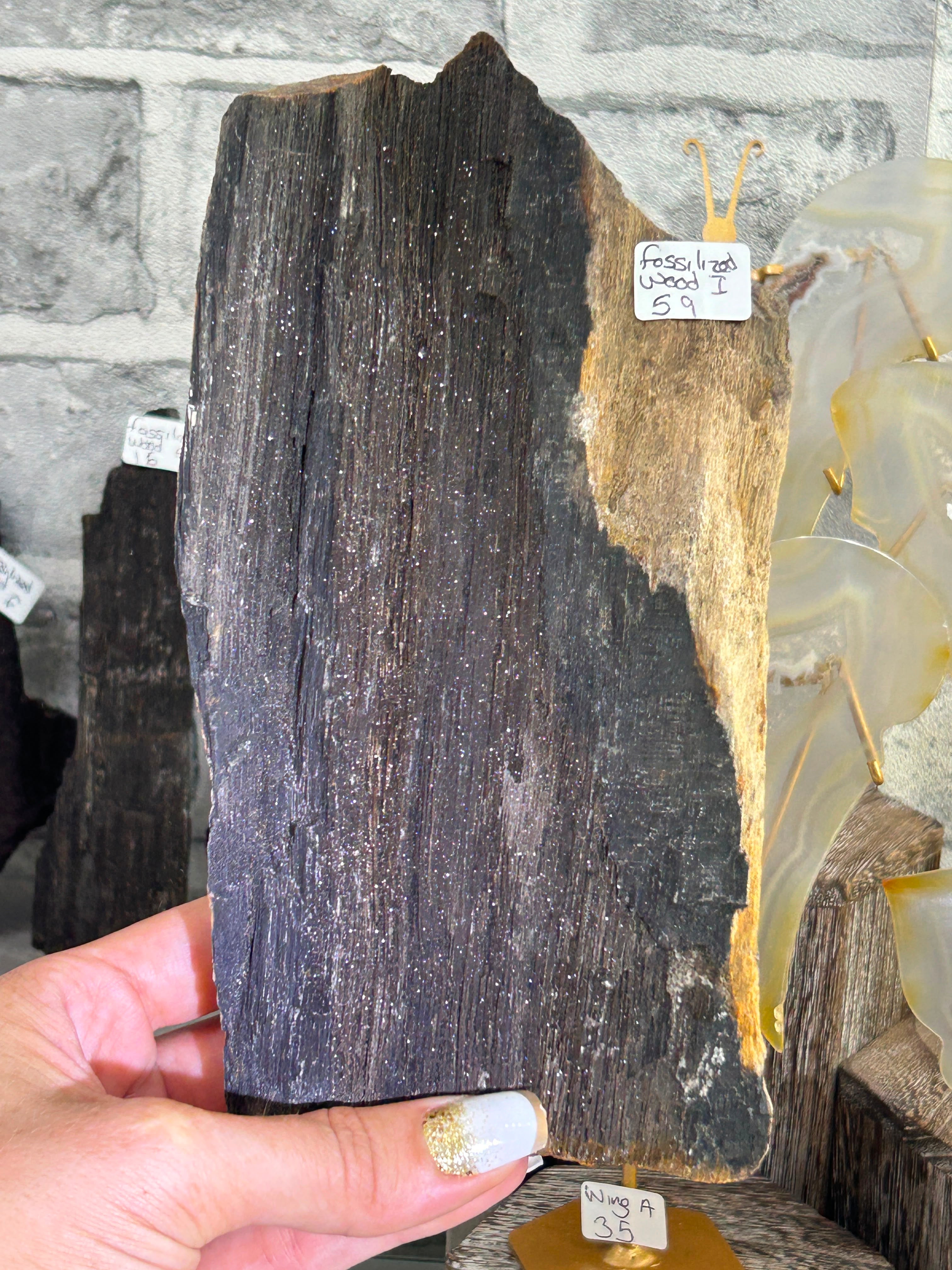 Fossilised Wood I