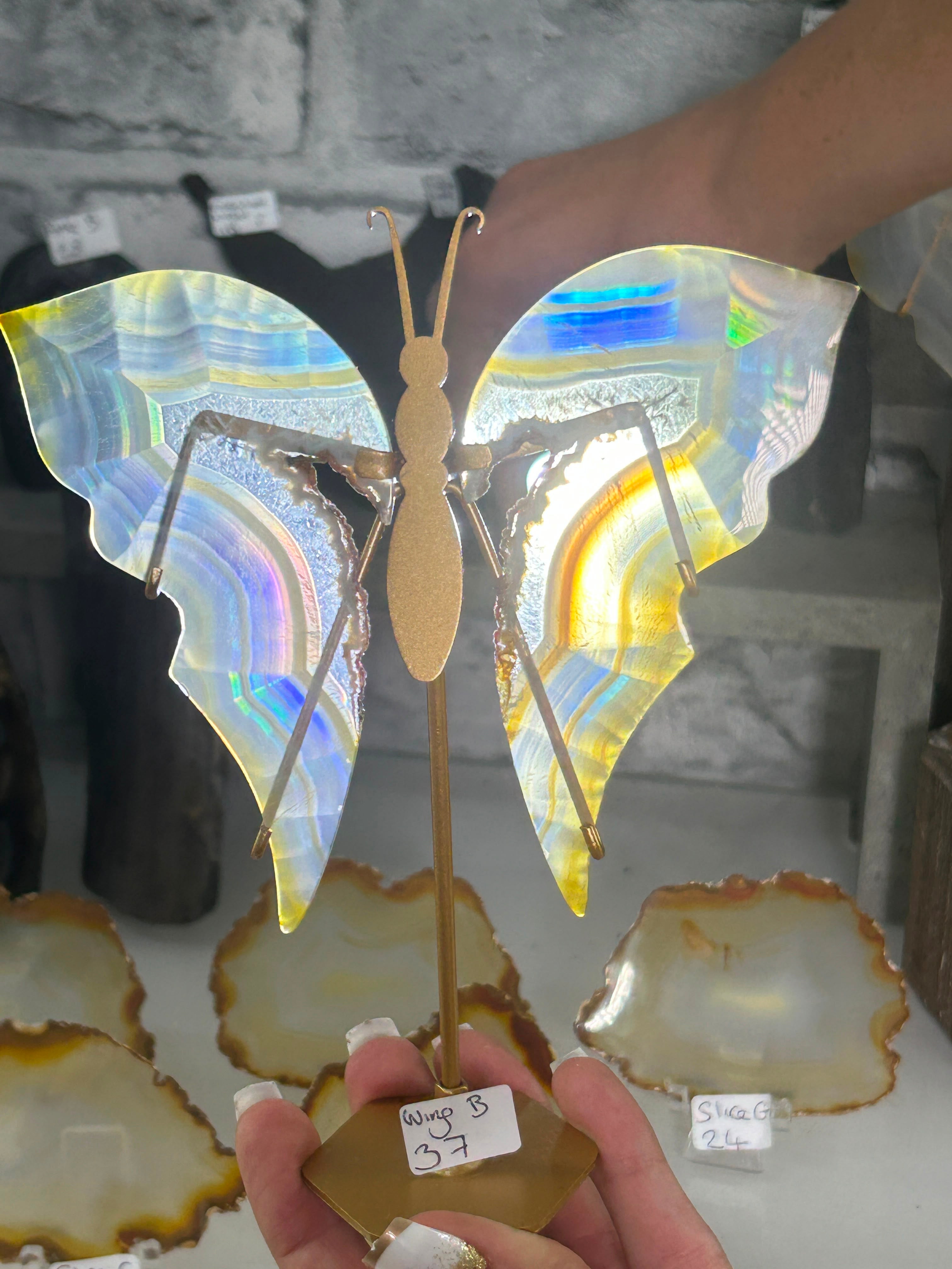Iris Agate Wings B