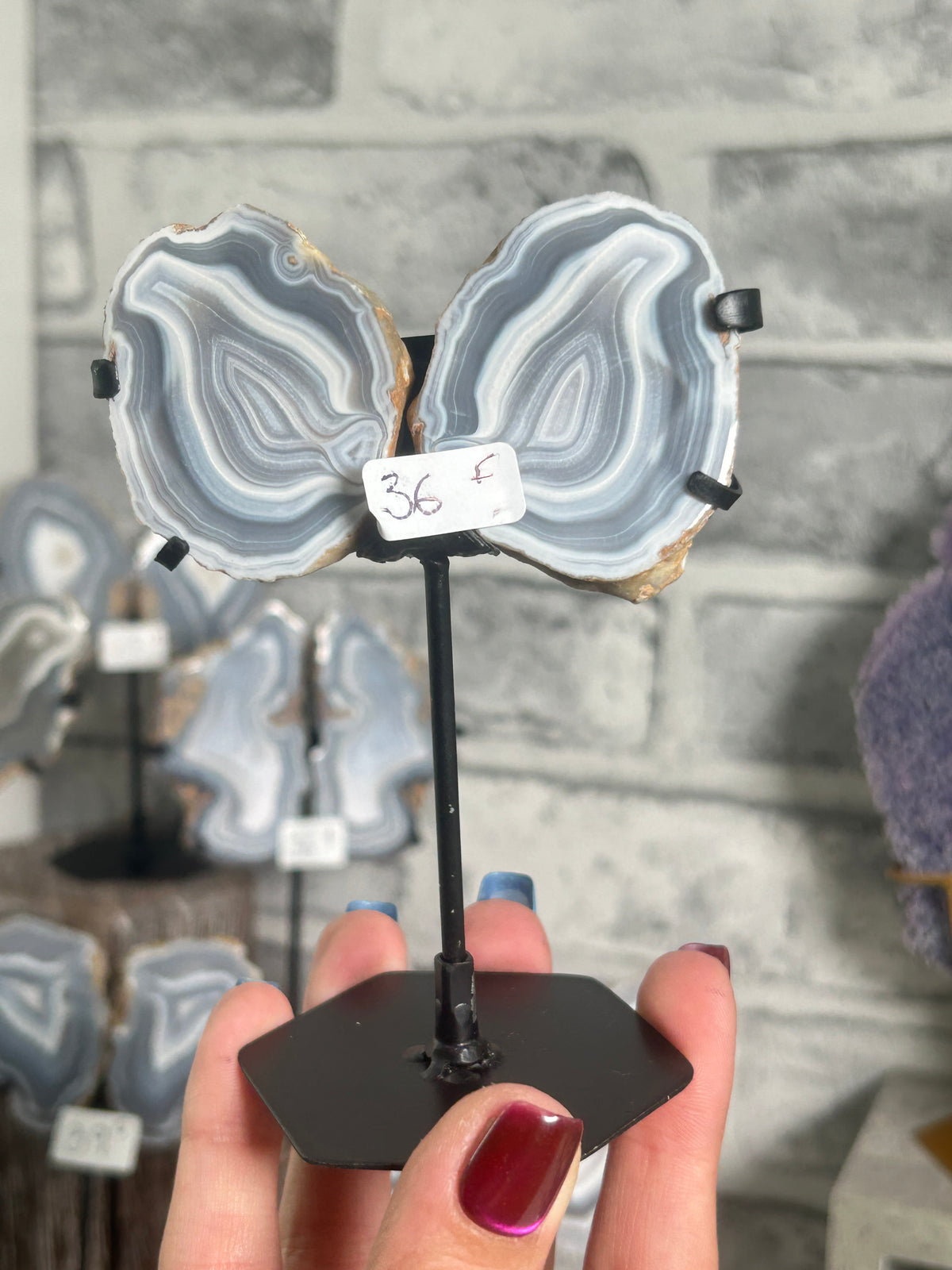 Blue Banded Agate Nodule Pair on Custom Stand F