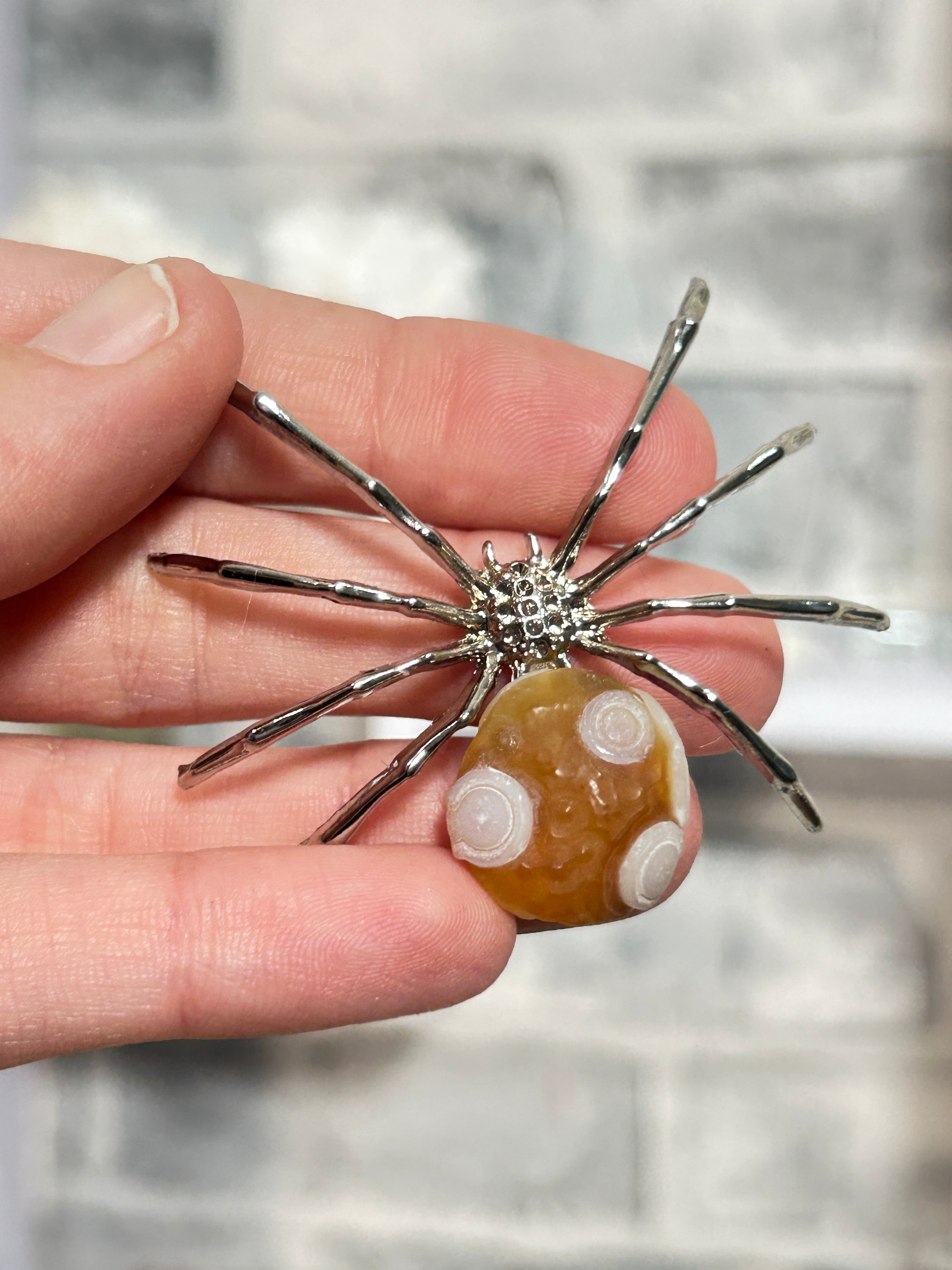 Gobi agate spider