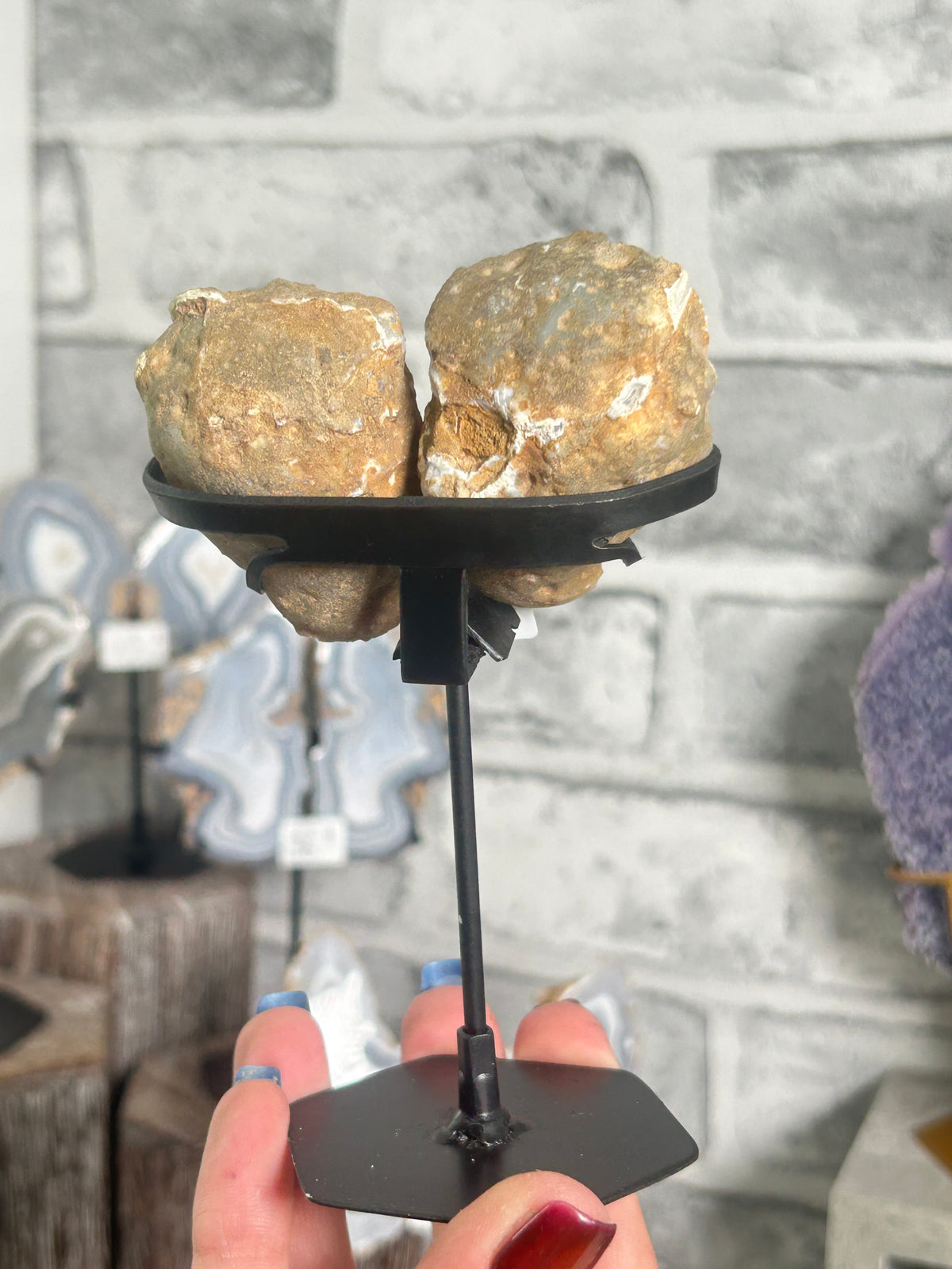 Blue Banded Agate Nodule Pair on Custom Stand D