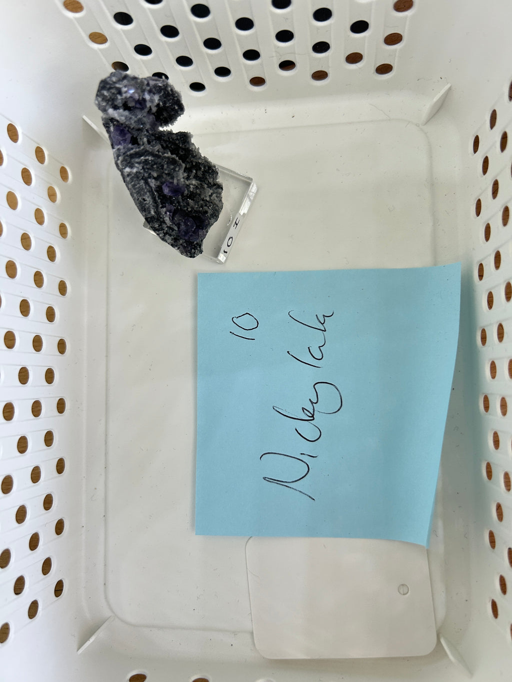 Live Sale Basket - Nickylala