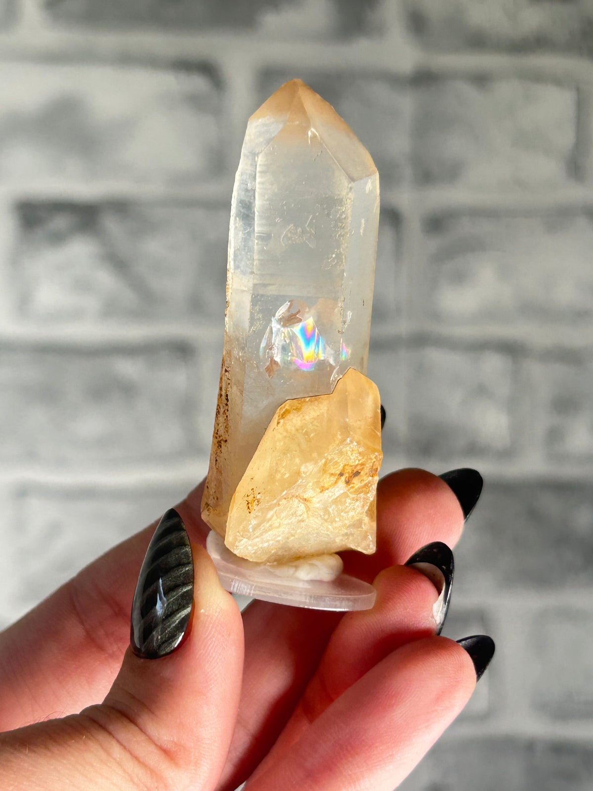 Brazilian Golden Healer Point