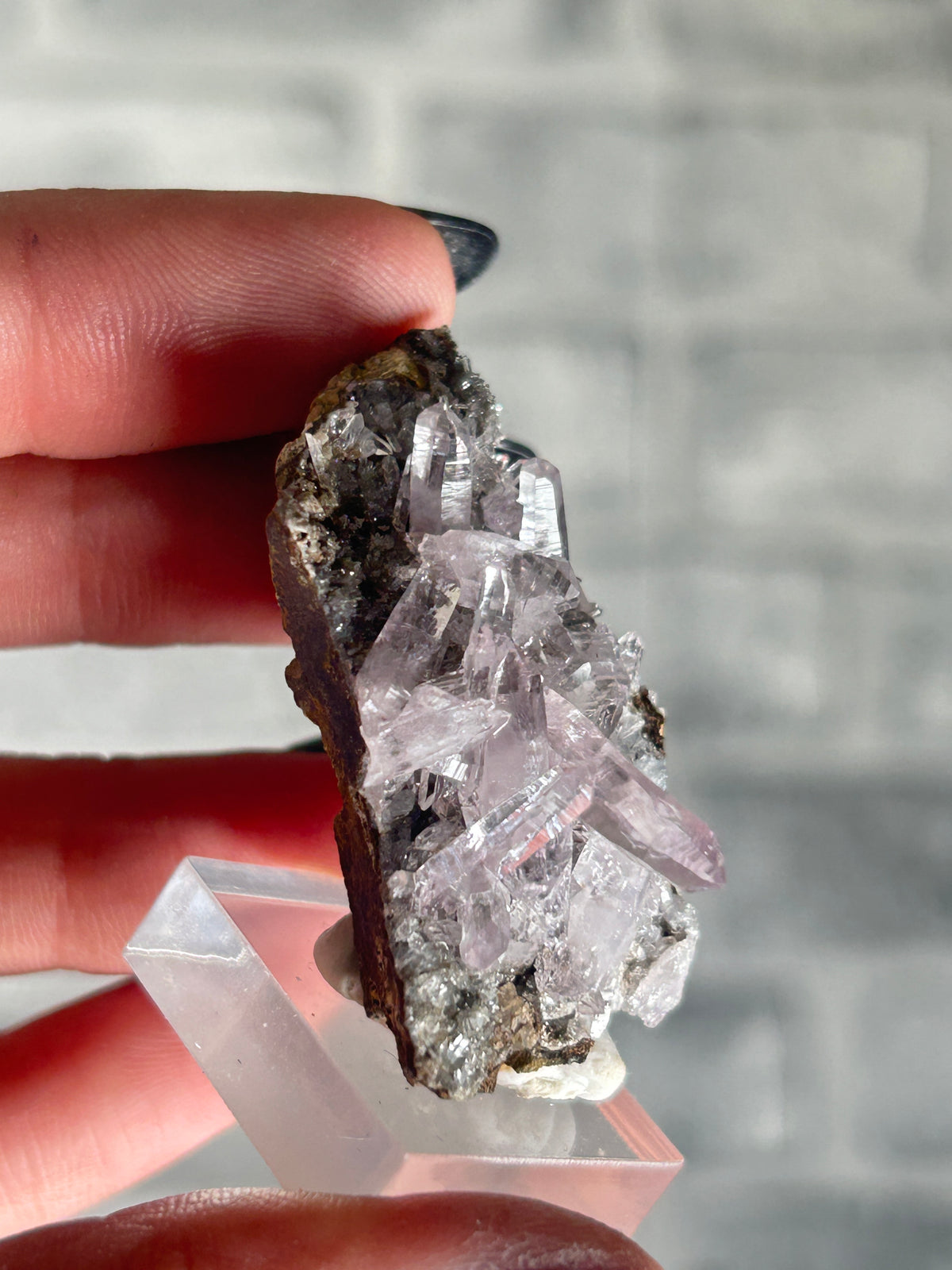 Vera Cruz Amethyst, Mexico