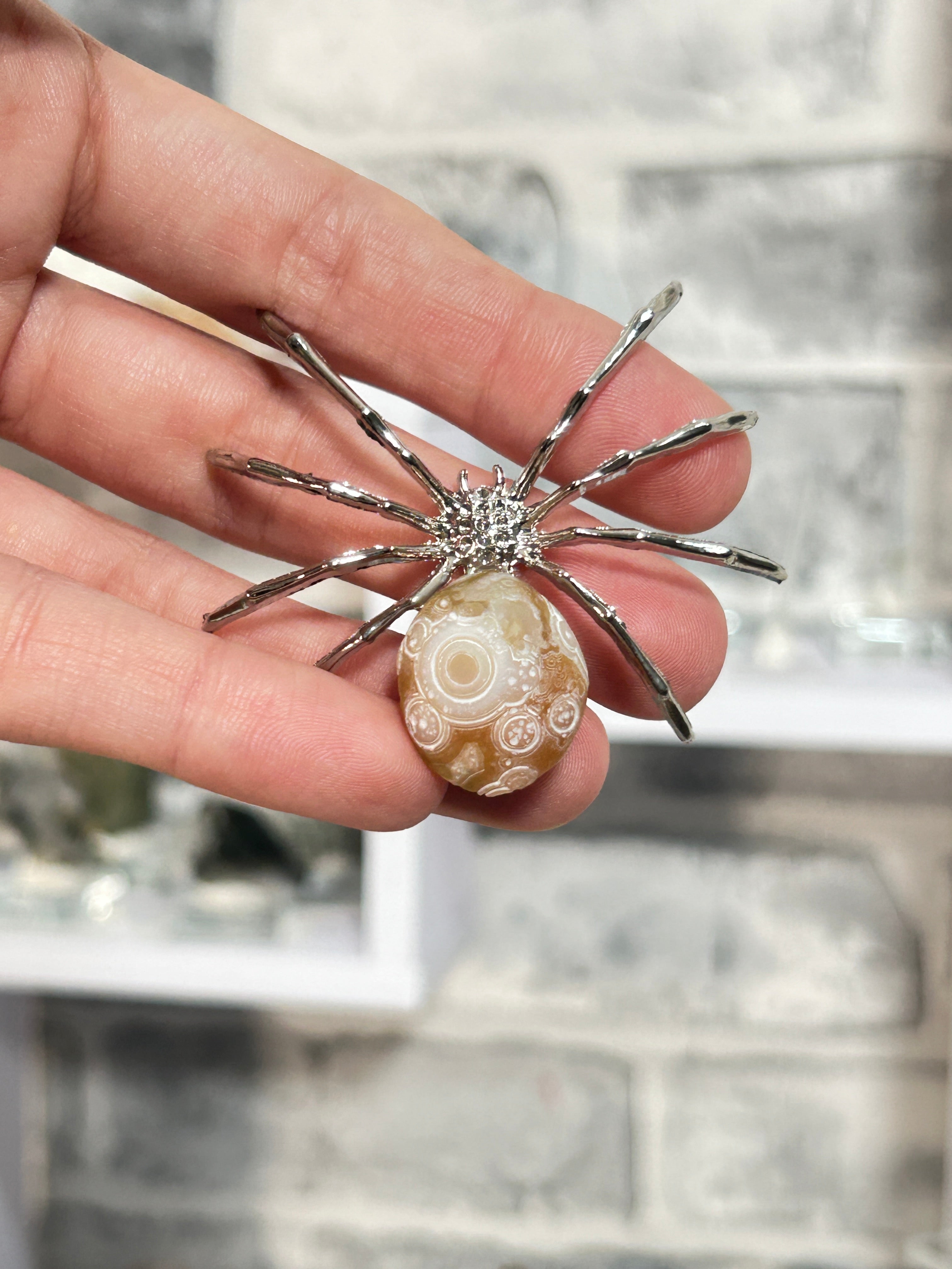 Gobi agate spider 5