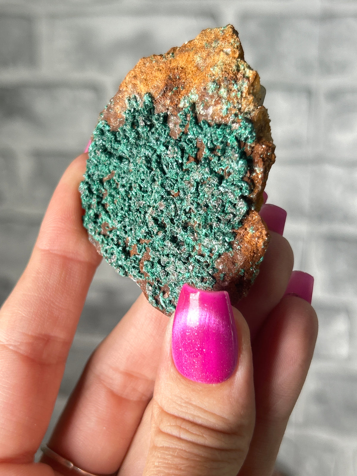 Malachite congo