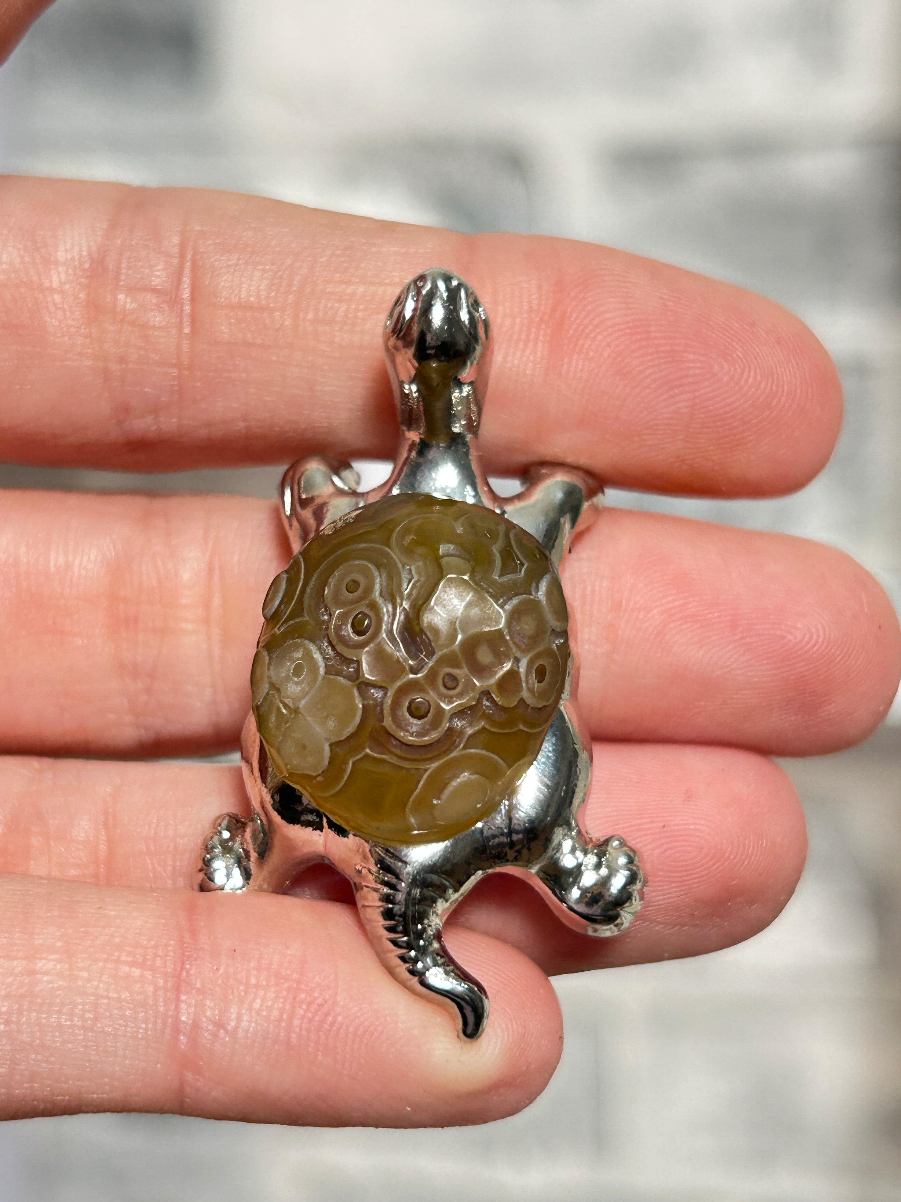 Gobi agate tortoise 2