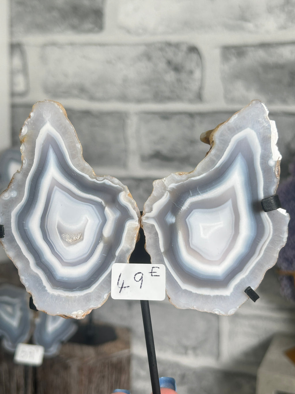 Blue banded agate nodule pair E from Indonesia on custom black stand with icy blue-grey, white and translucent concentric chalcedony banding.
