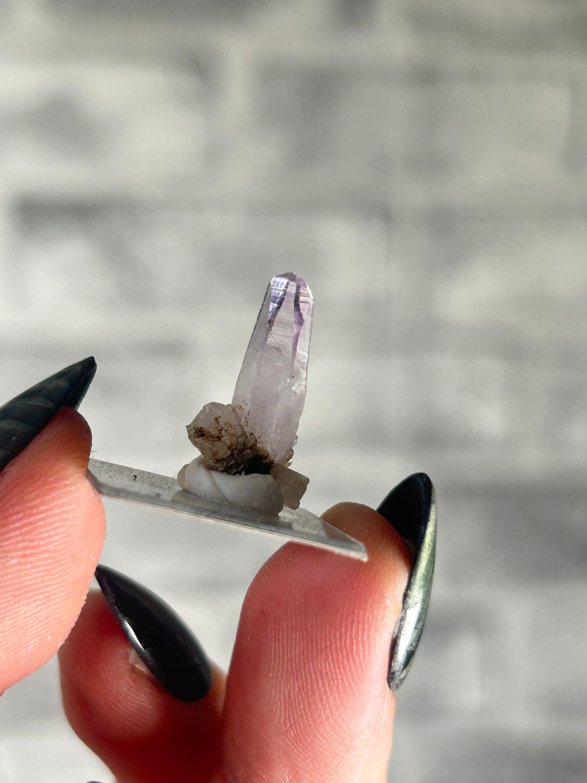 Vera Cruz Amethyst, Mexico