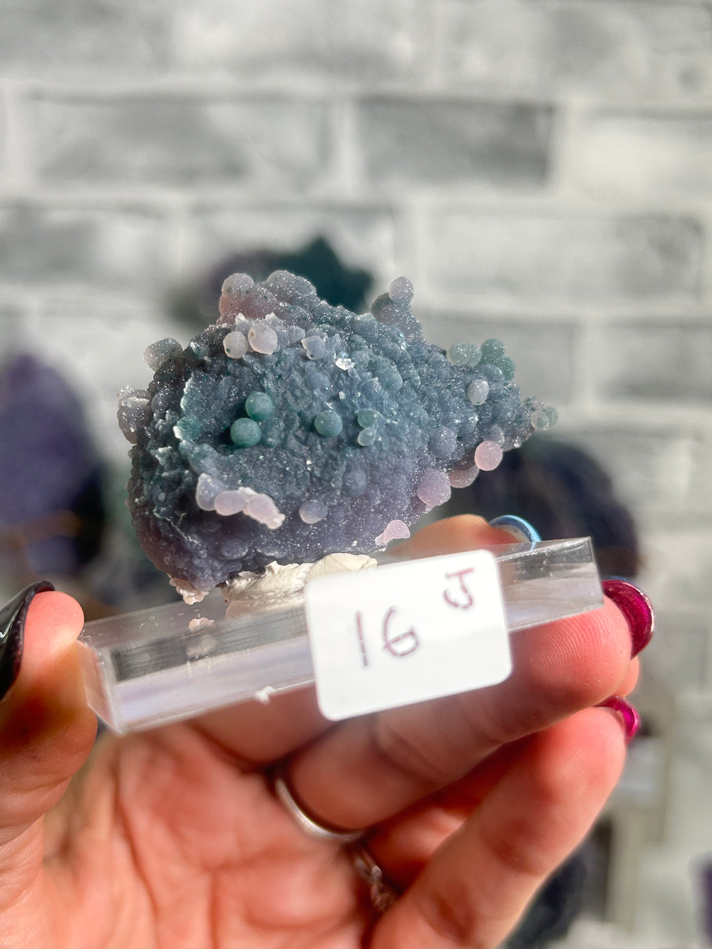 A hand holds a small geode specimen with a clear plastic holder and a handwritten price tag reading '16'. The geode has a mottled blue, purple, and gray crystalline structure with small bubble-like formations.