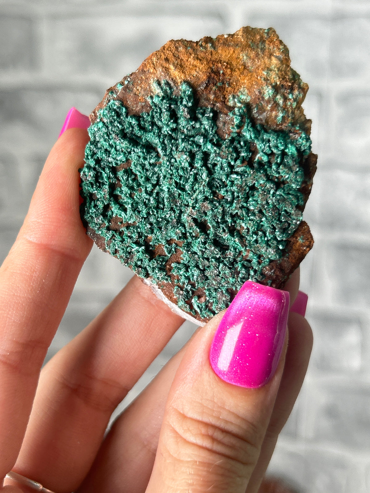 Malachite congo