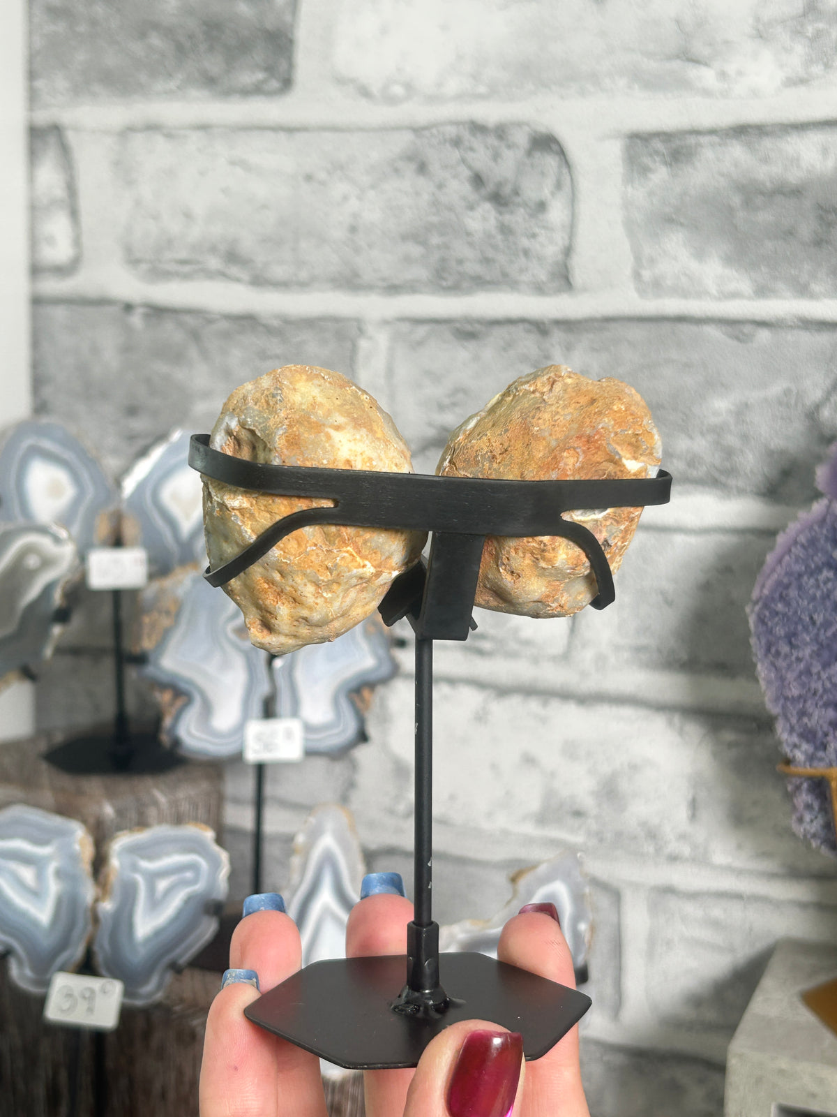 Blue Banded Agate Nodule Pair on Custom Stand F