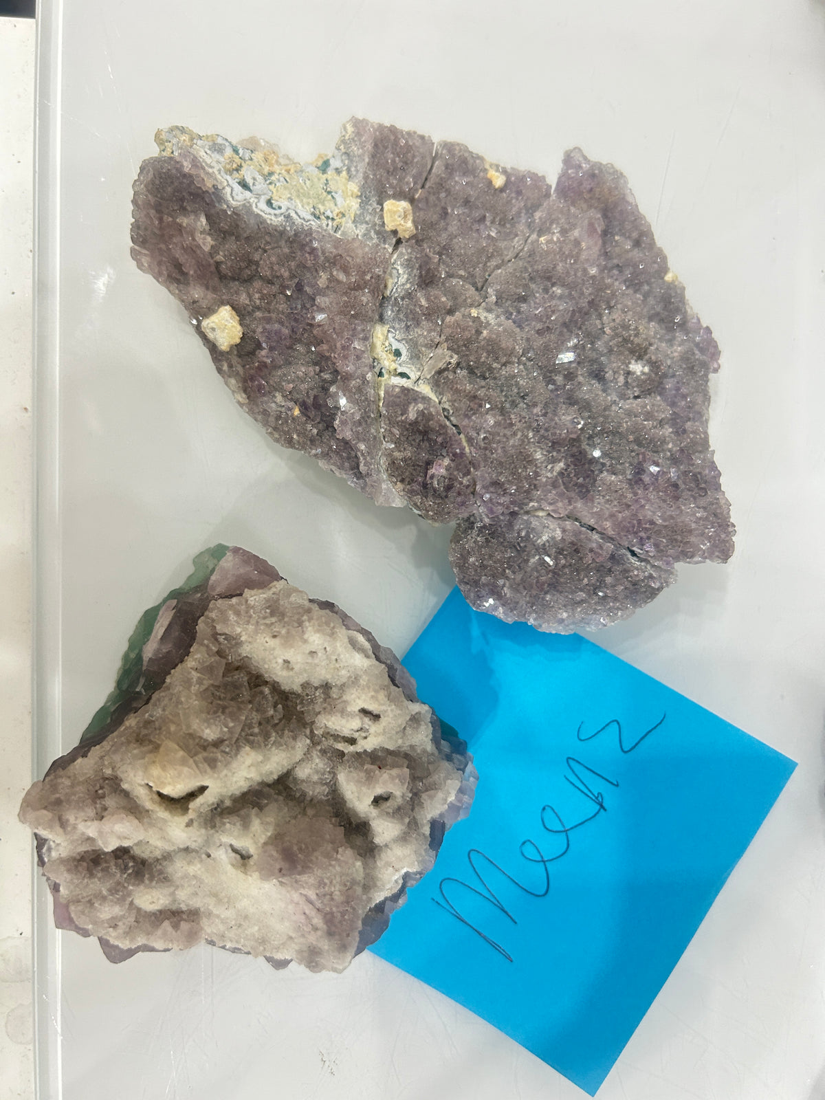 Live Sale Claims - Meena