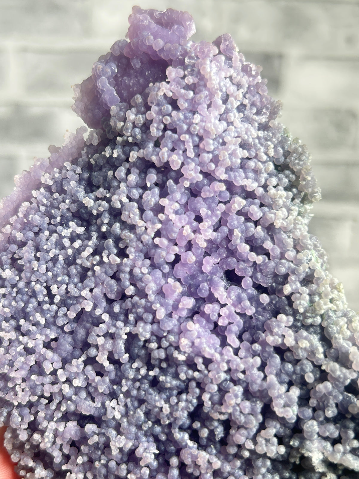 A close-up of a lavender and light purple crystal cluster with dense, bead-like mineral formations, photographed against a soft gray blurred background.