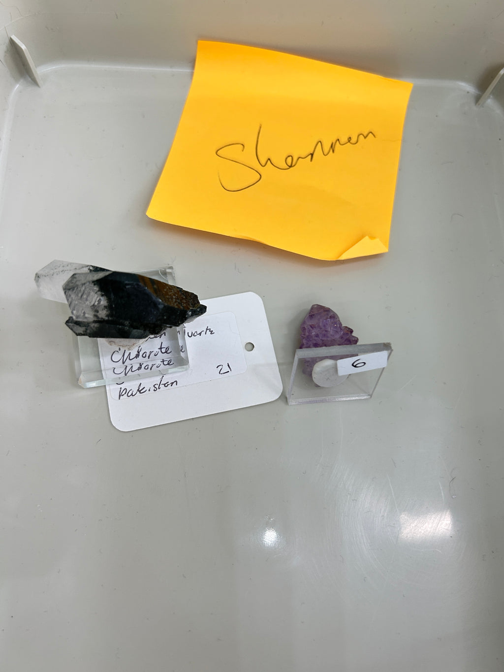 Live Sale Claims - Shannon
