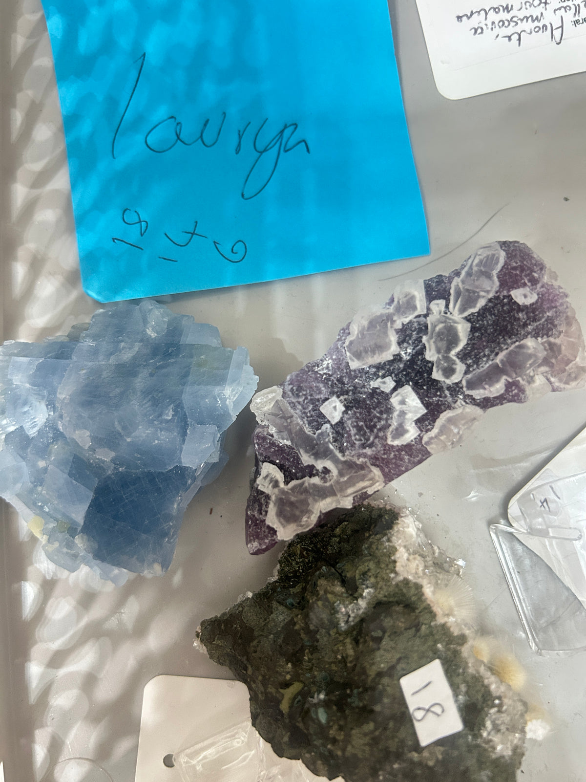 Live Sale Claims - Lauryn