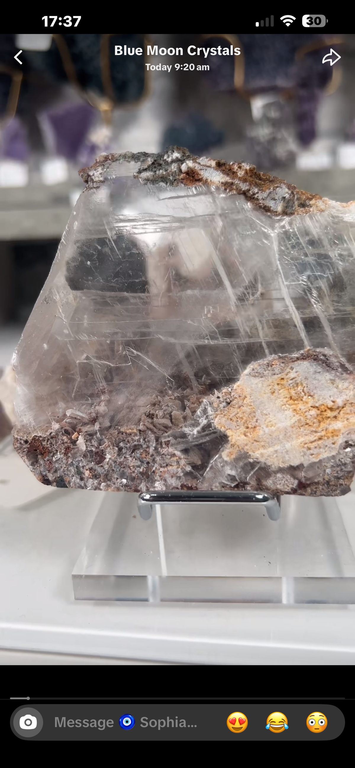 Live Sale Basket - Sophia