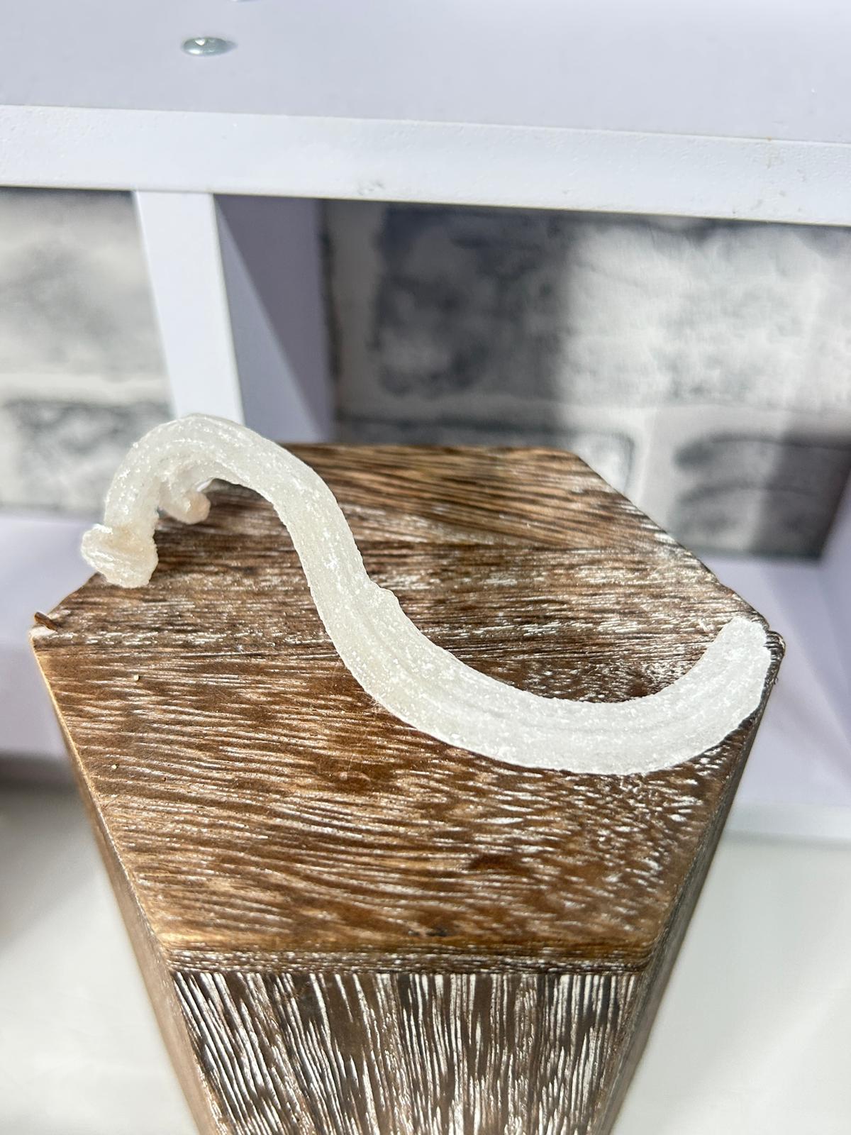 Natural Ramshorn Selenite Formation