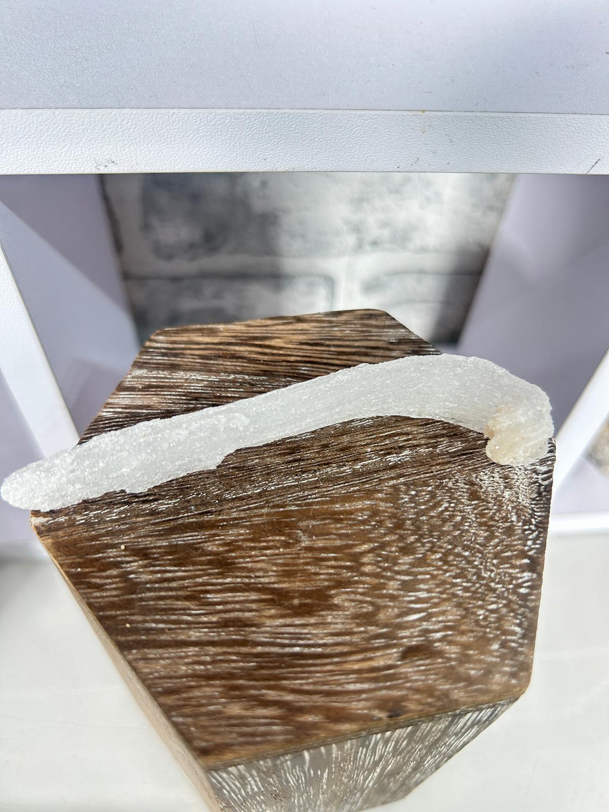 Natural Ramshorn Selenite Formation