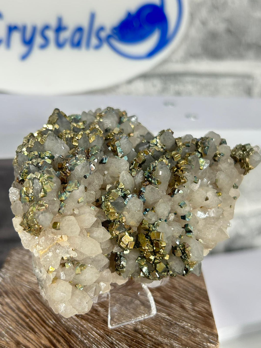 Rainbow Cubic Pyrite on Quartz
