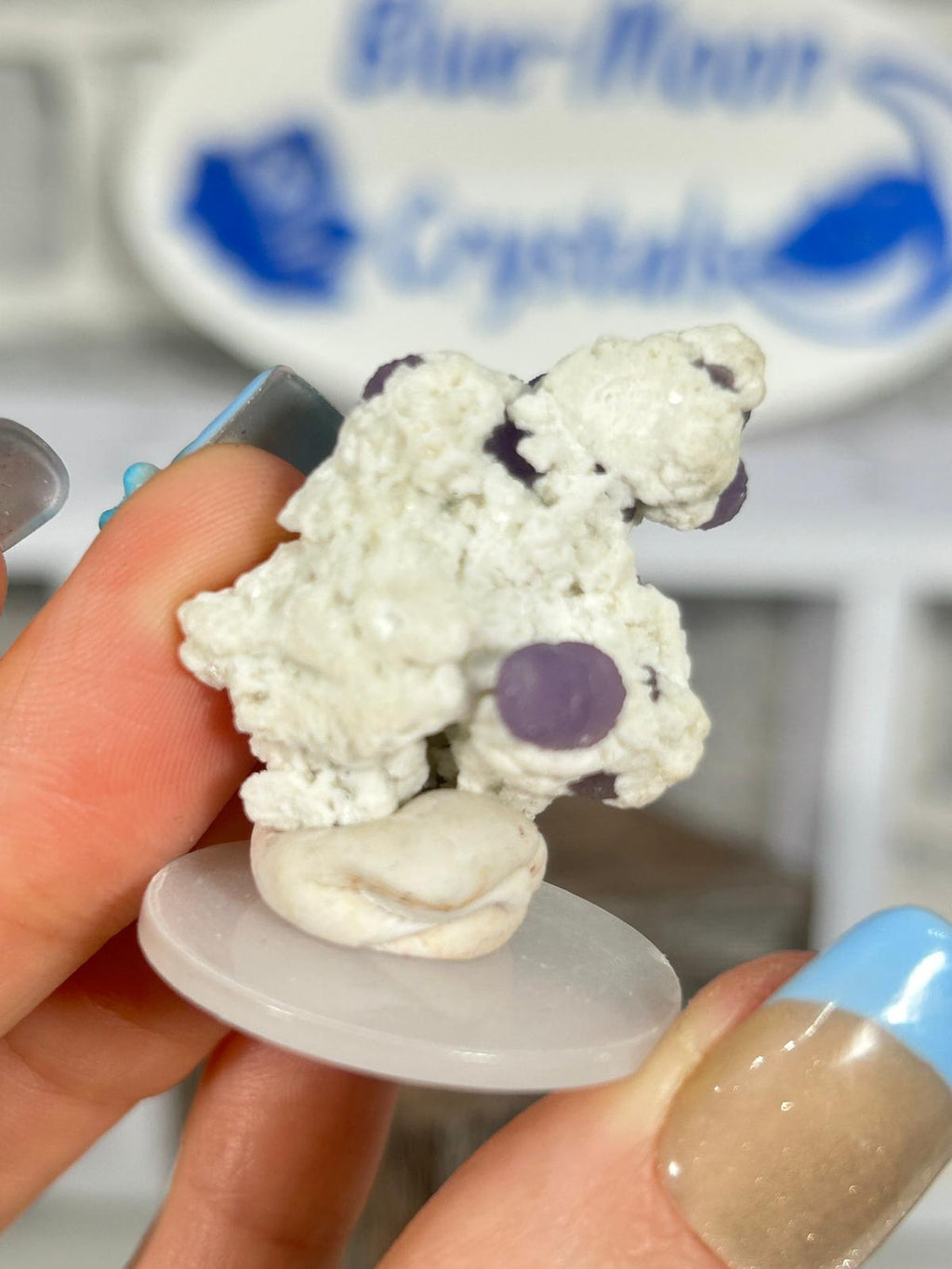 Grape Agate Cluster on Matrix #2