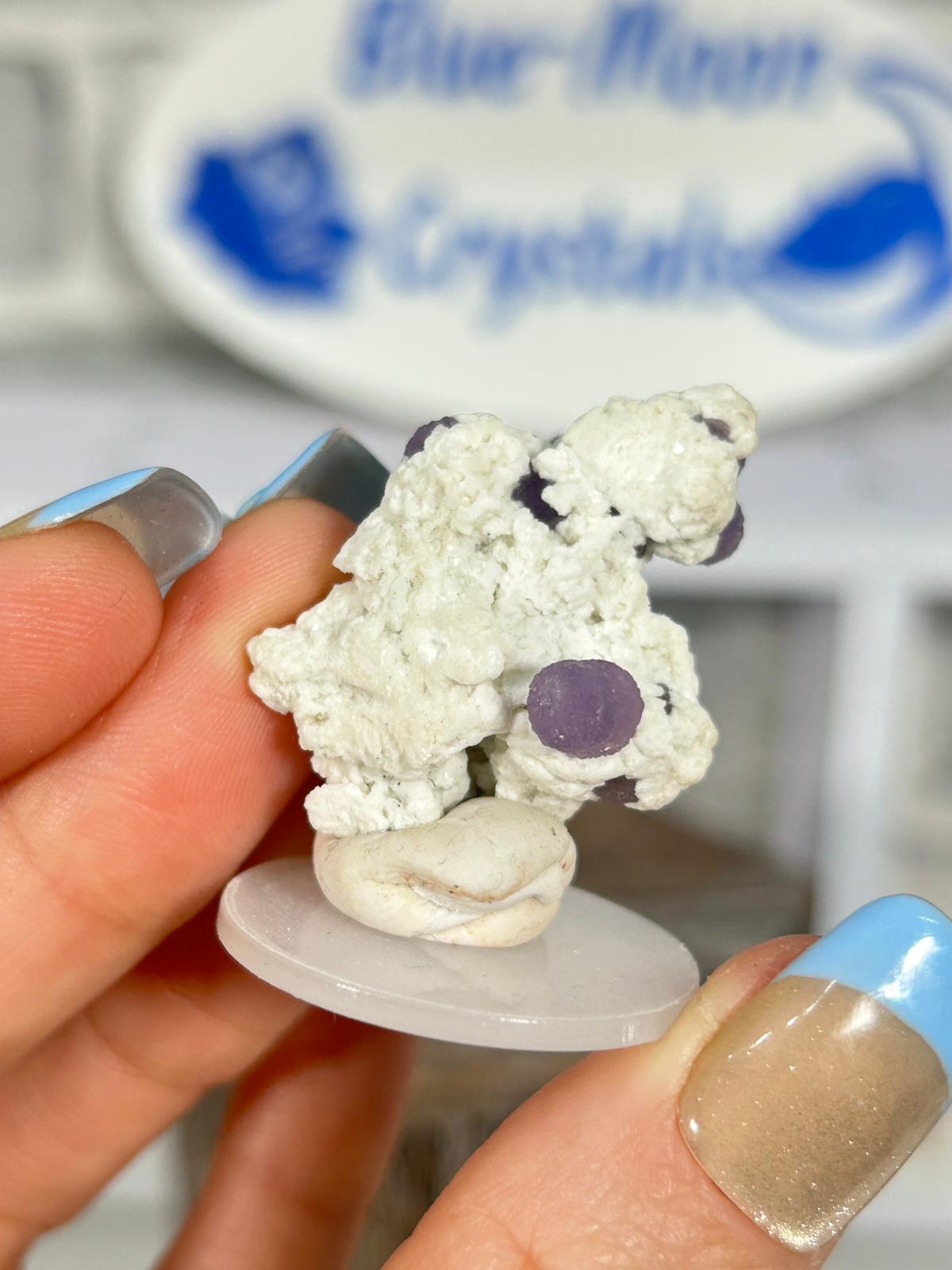 Grape Agate Cluster on Matrix #2