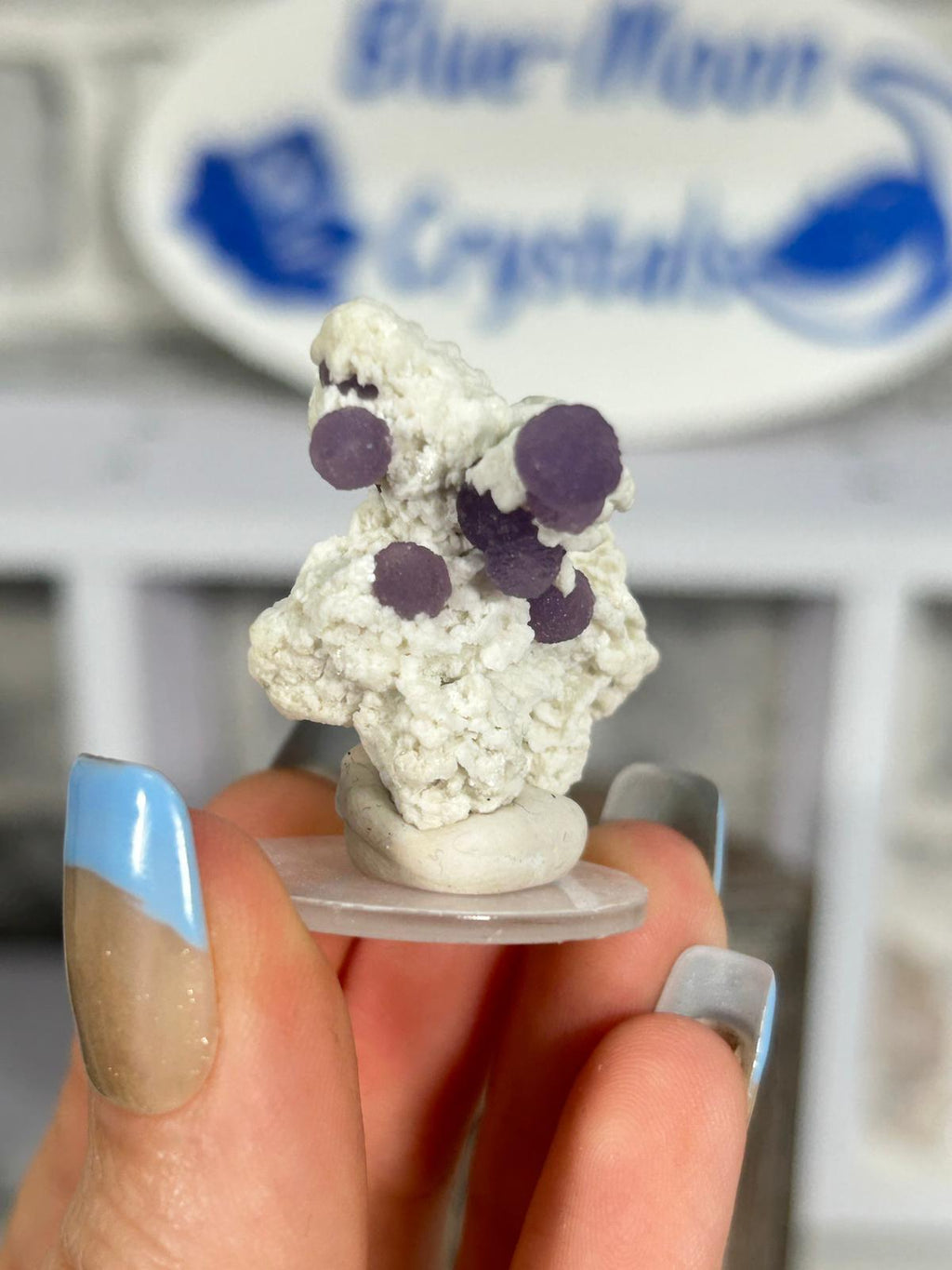 Grape Agate Cluster on Matrix #2