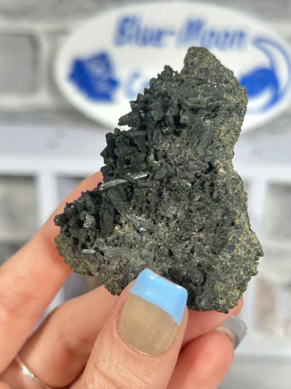 Garden Quartz with Epidote #2