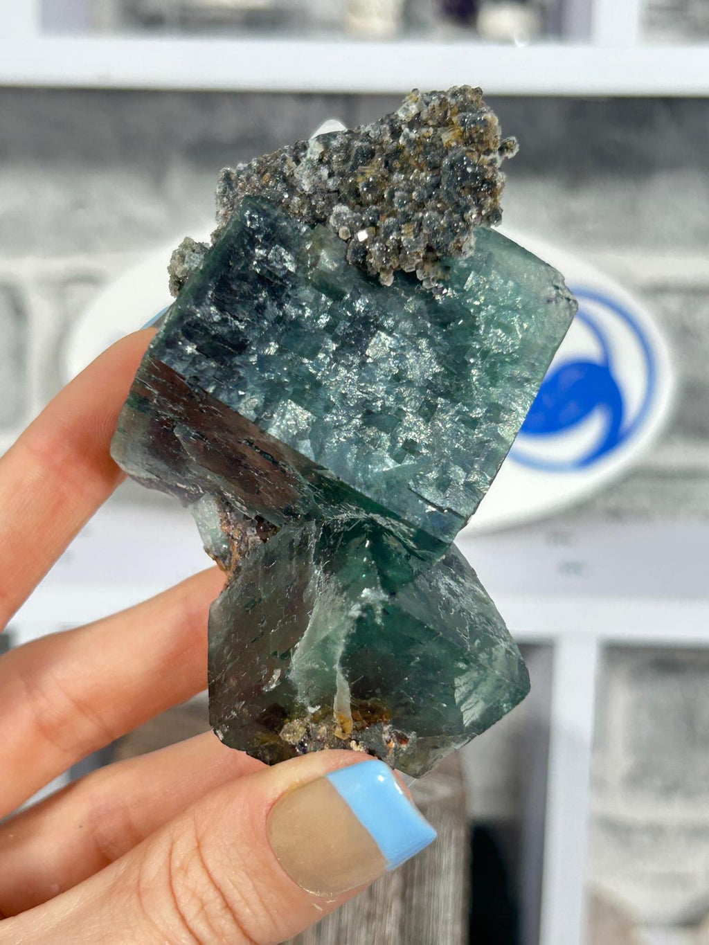 Fluorite with Purple Phantoms #1