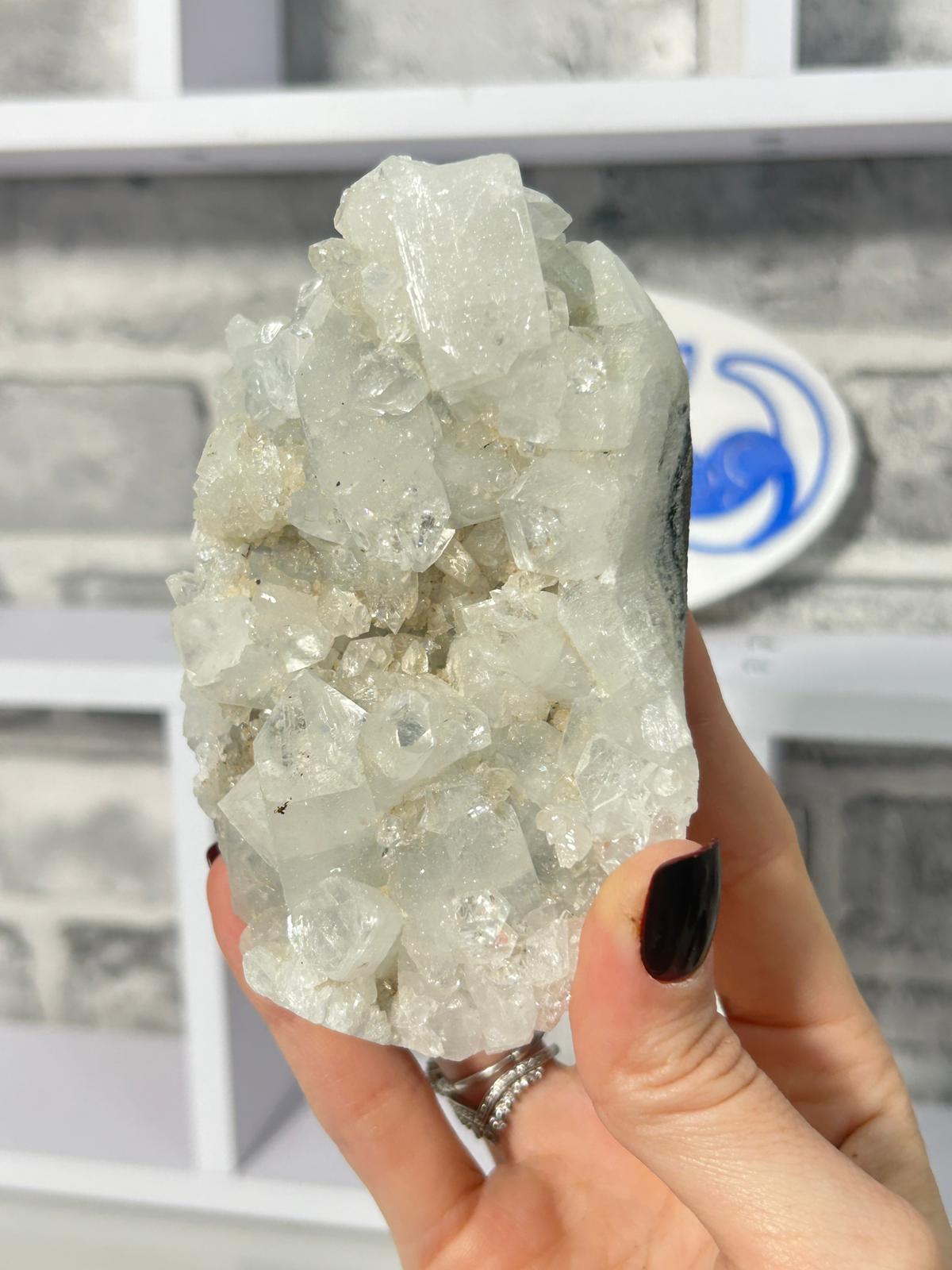 Apophyllite Crystal Cluster